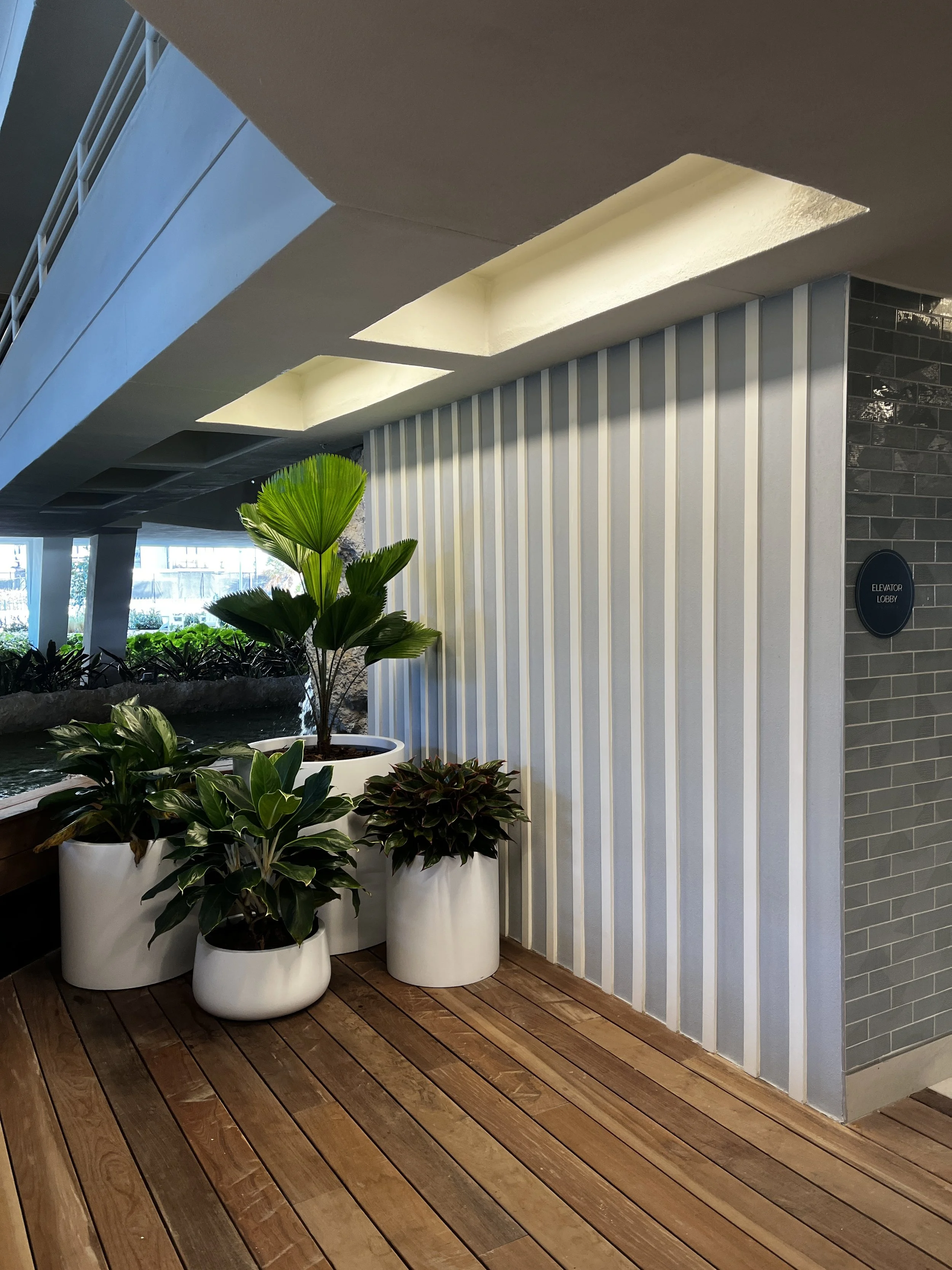 SHIMPROJECTS_THEHAMILTON_IMG_2010.JPG
