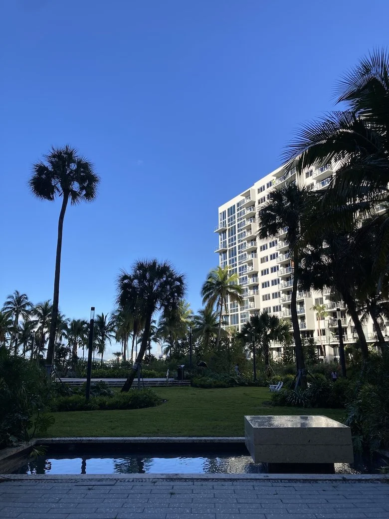 SHIMPROJECTS_FLAMINGO POINTIMG_7066.JPG