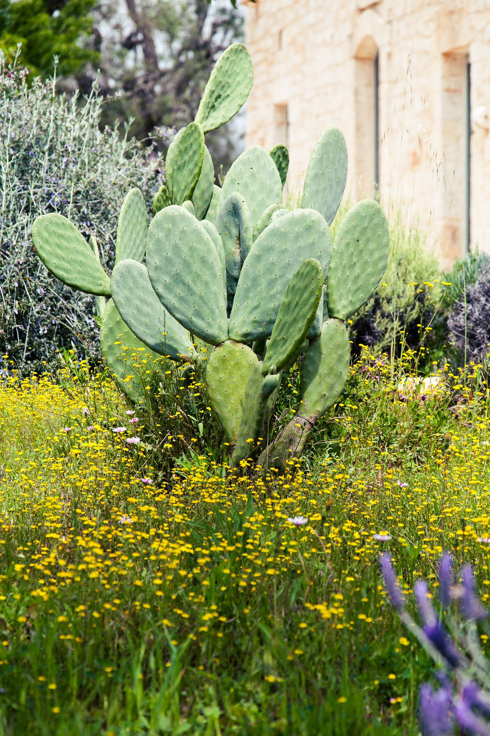 Ostuni Art Resort