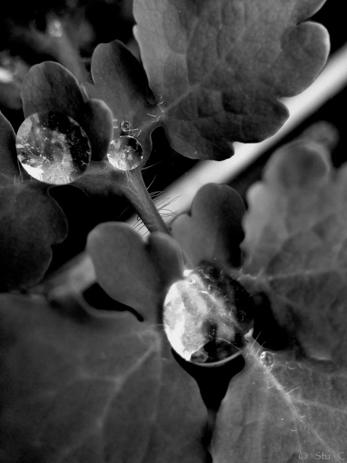 Tiny Globes