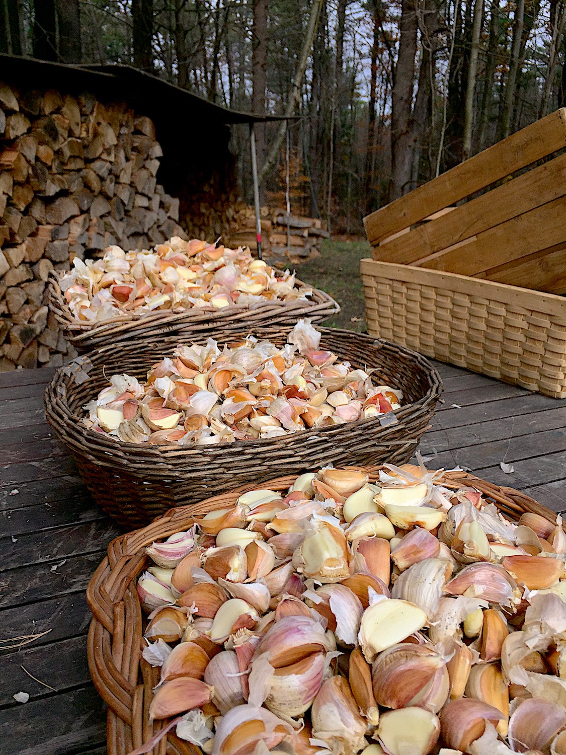 Three large baskets of individual cloves ready for planting