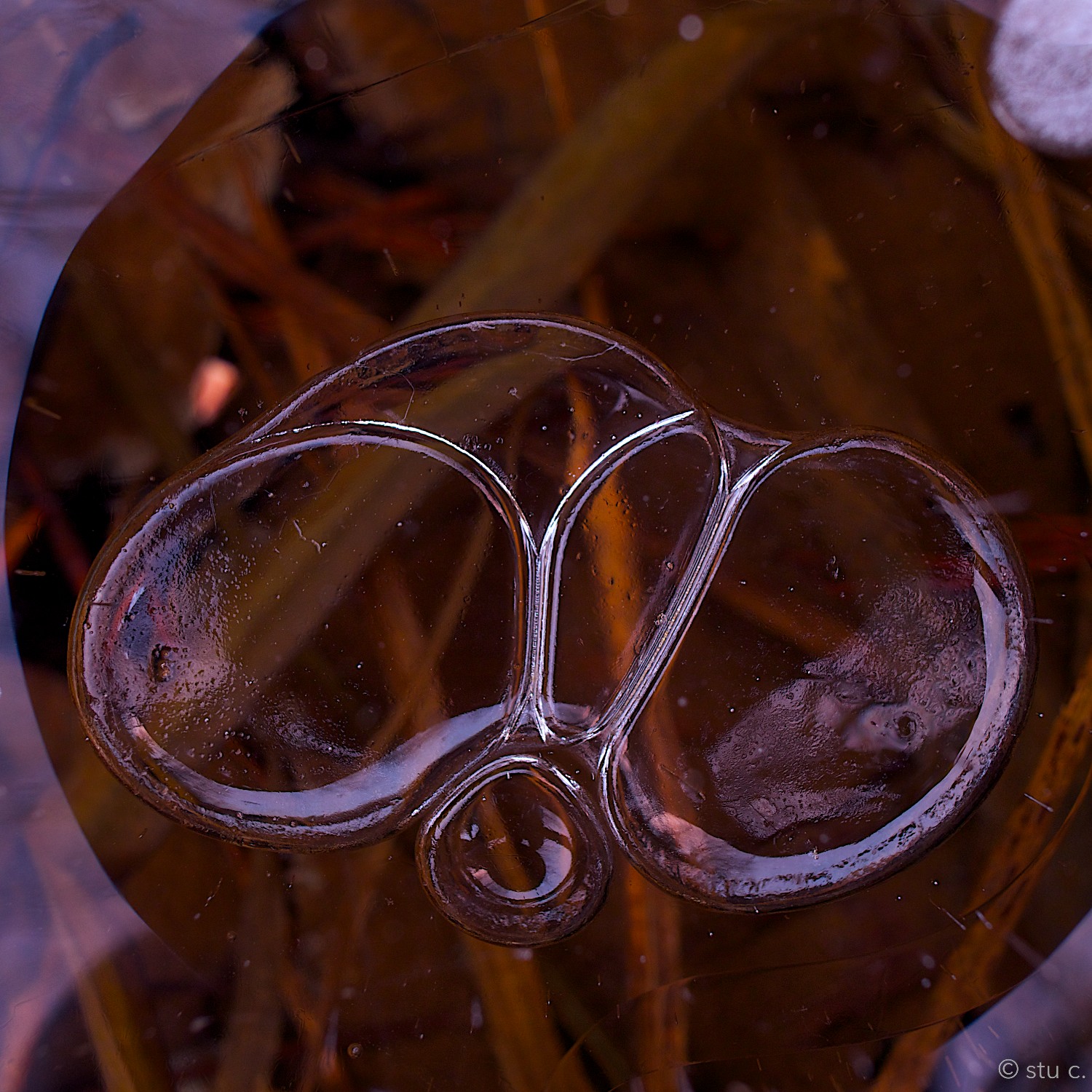 The shadow of my camera lens darkens the area around these bubbles a couple inches below the surface. The silhouetted reflection of the camera on a small tripod is visible in the smallest bubble, as are the colors of dusk settling in over the river. 