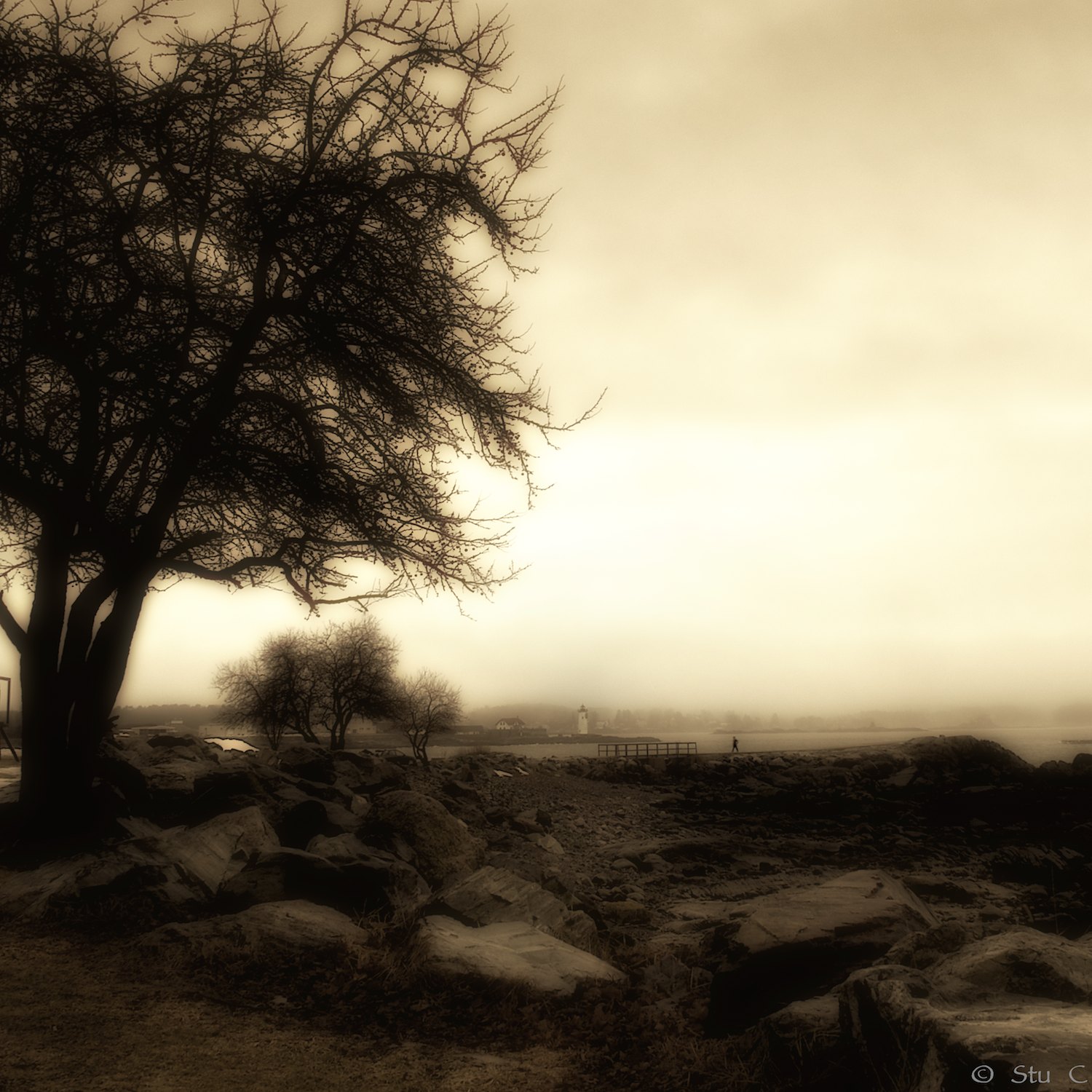 seacoast_fog_P1110154.jpg