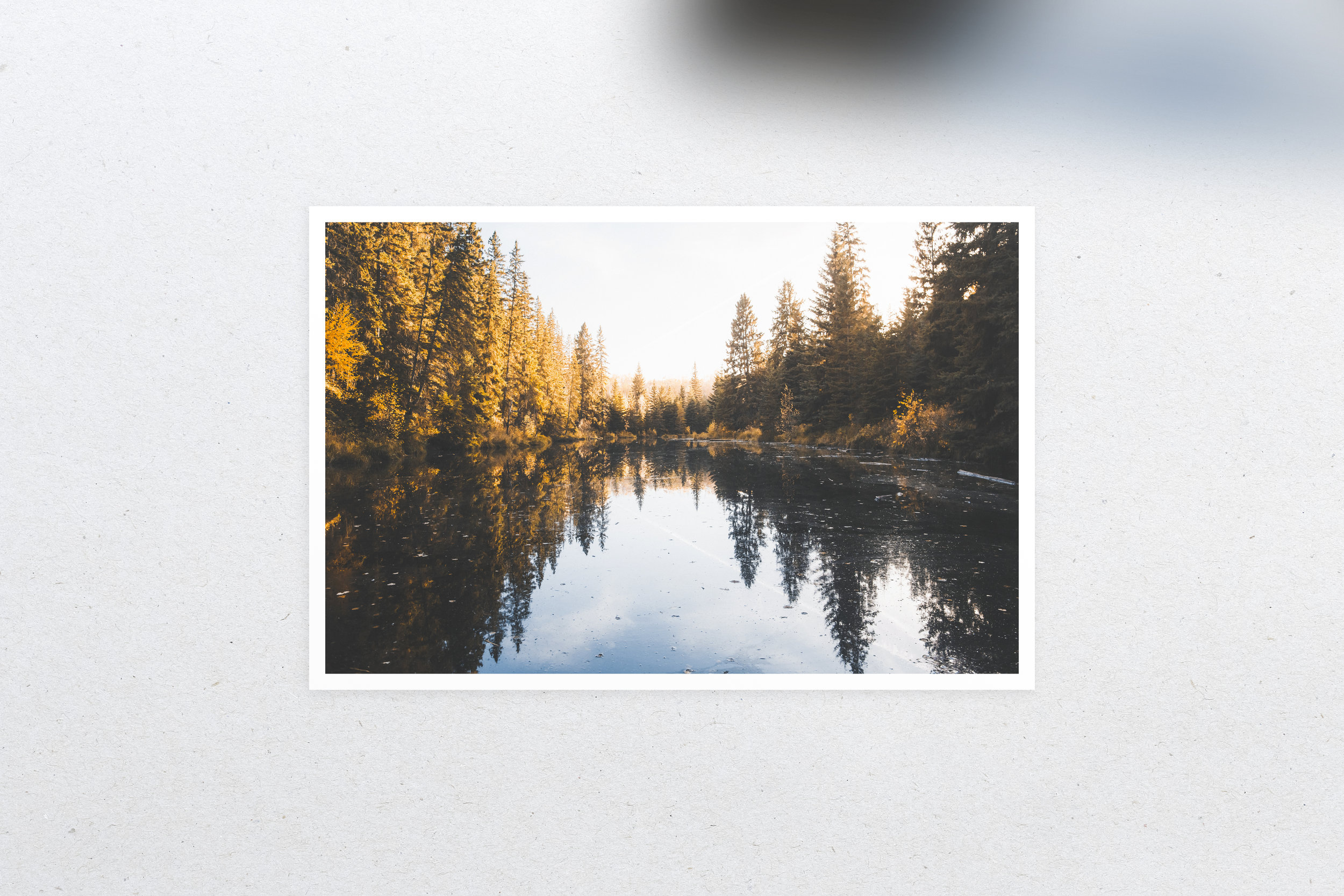 Individual - Creek.jpg
