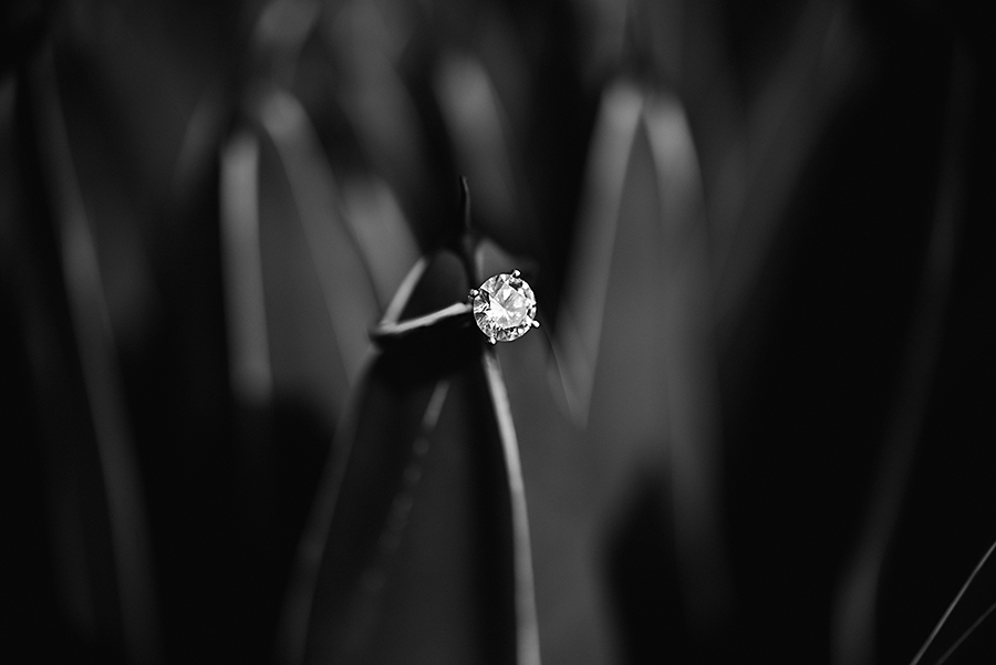 2014 © Marisol Izaguirre