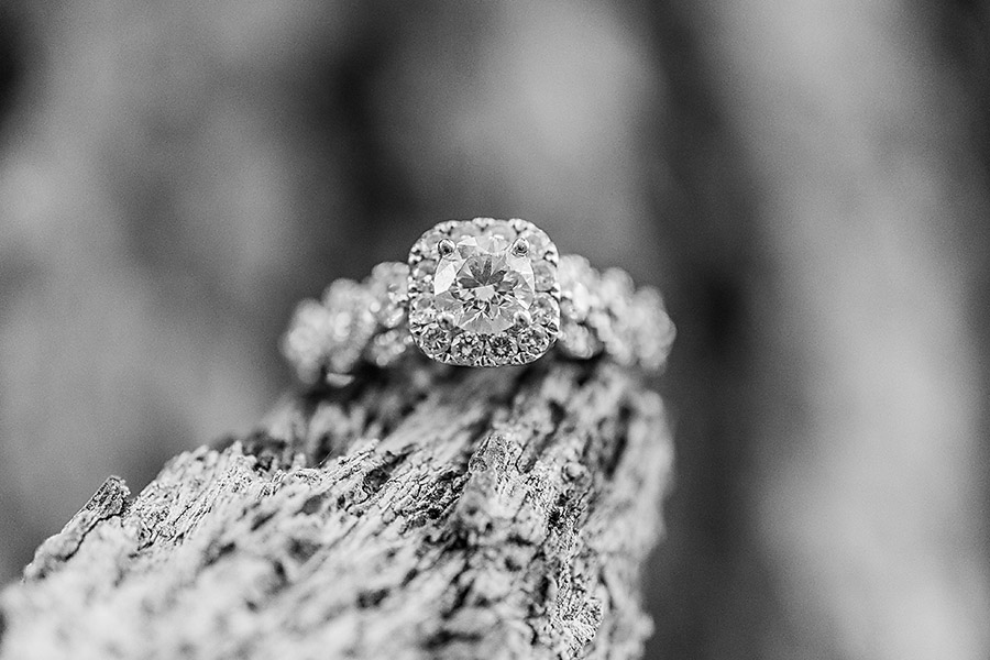 2015 © Marisol Izaguirre