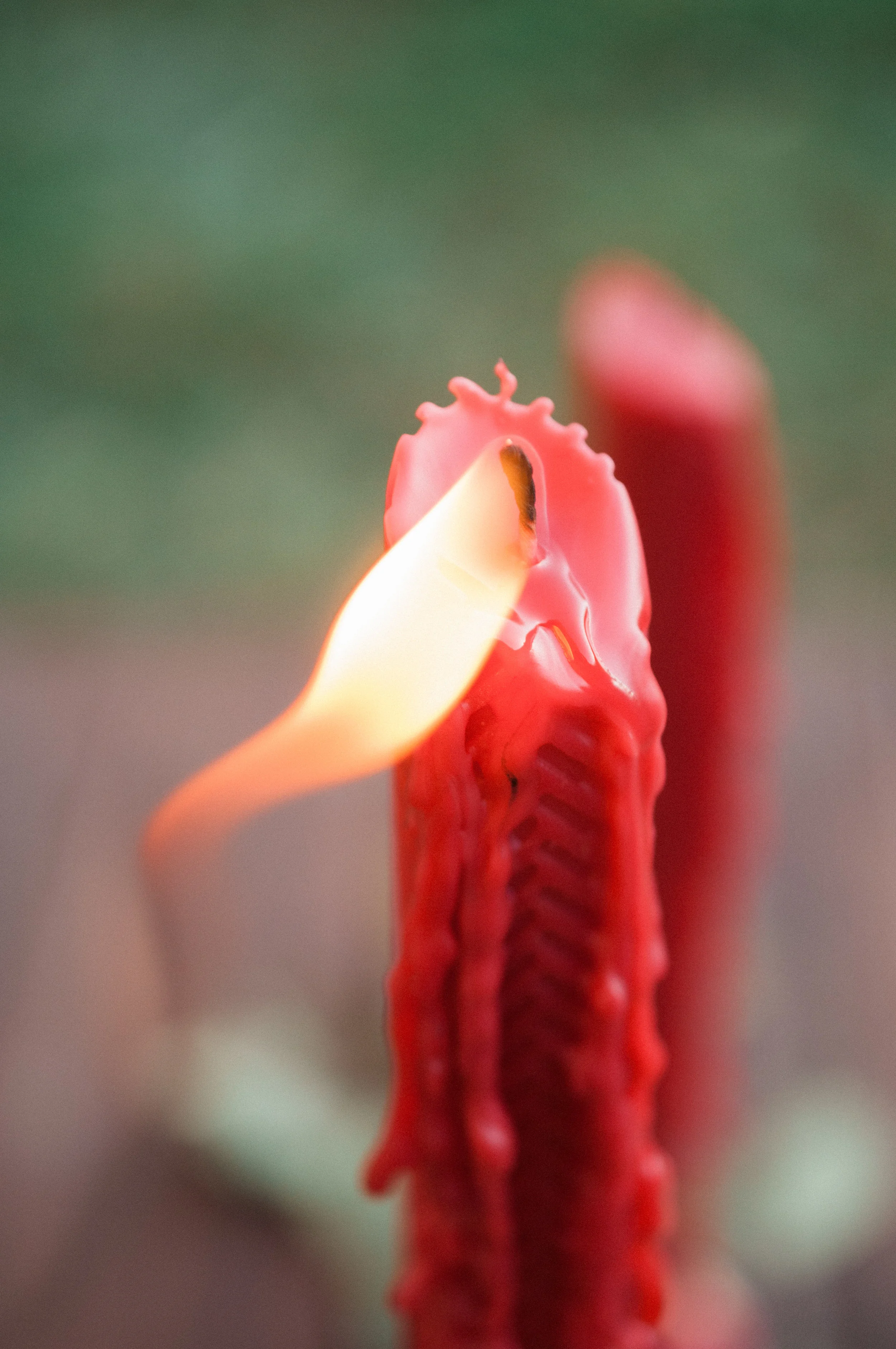 DSC_2078.jpg