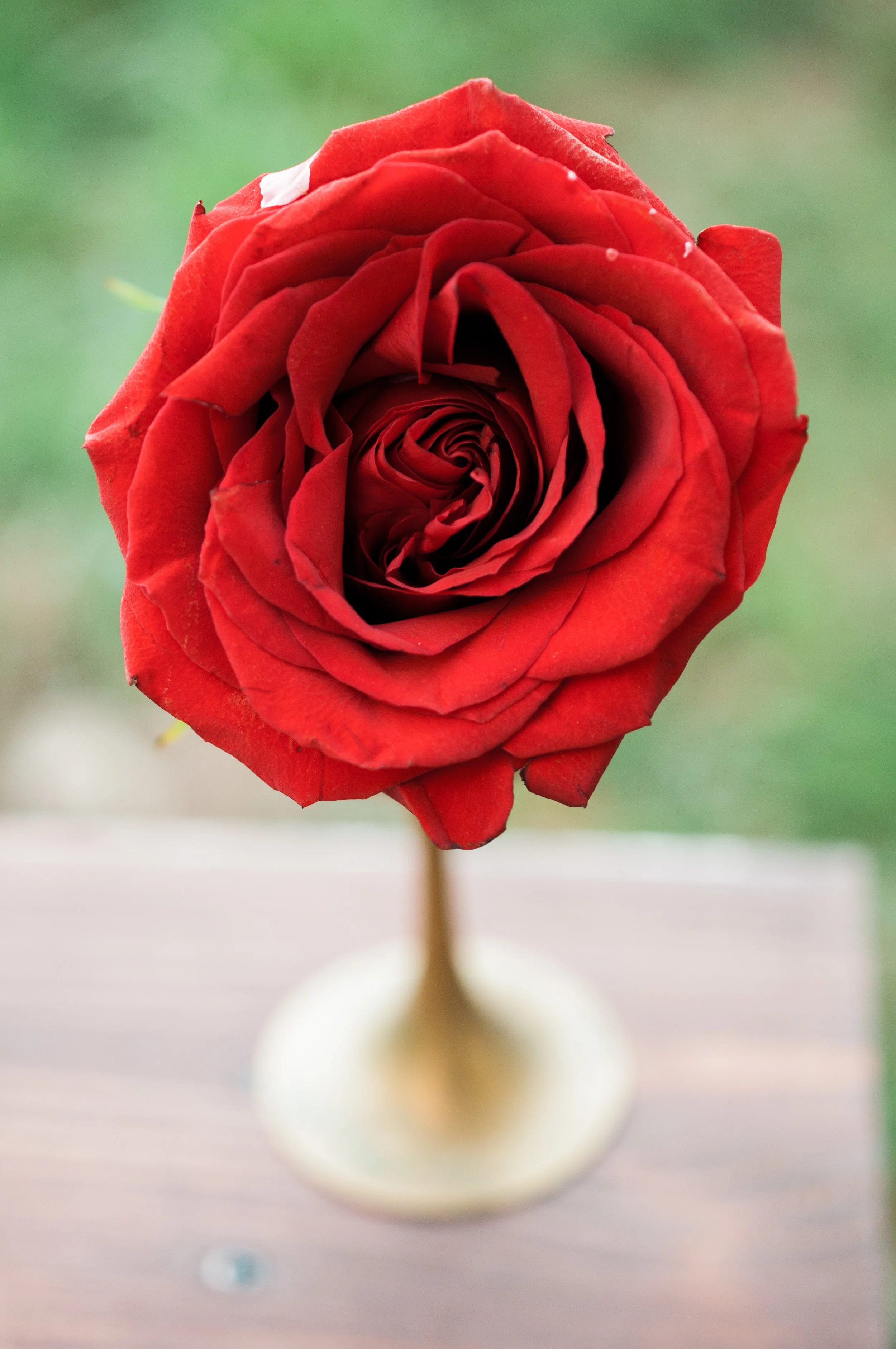 DSC_2158.jpg