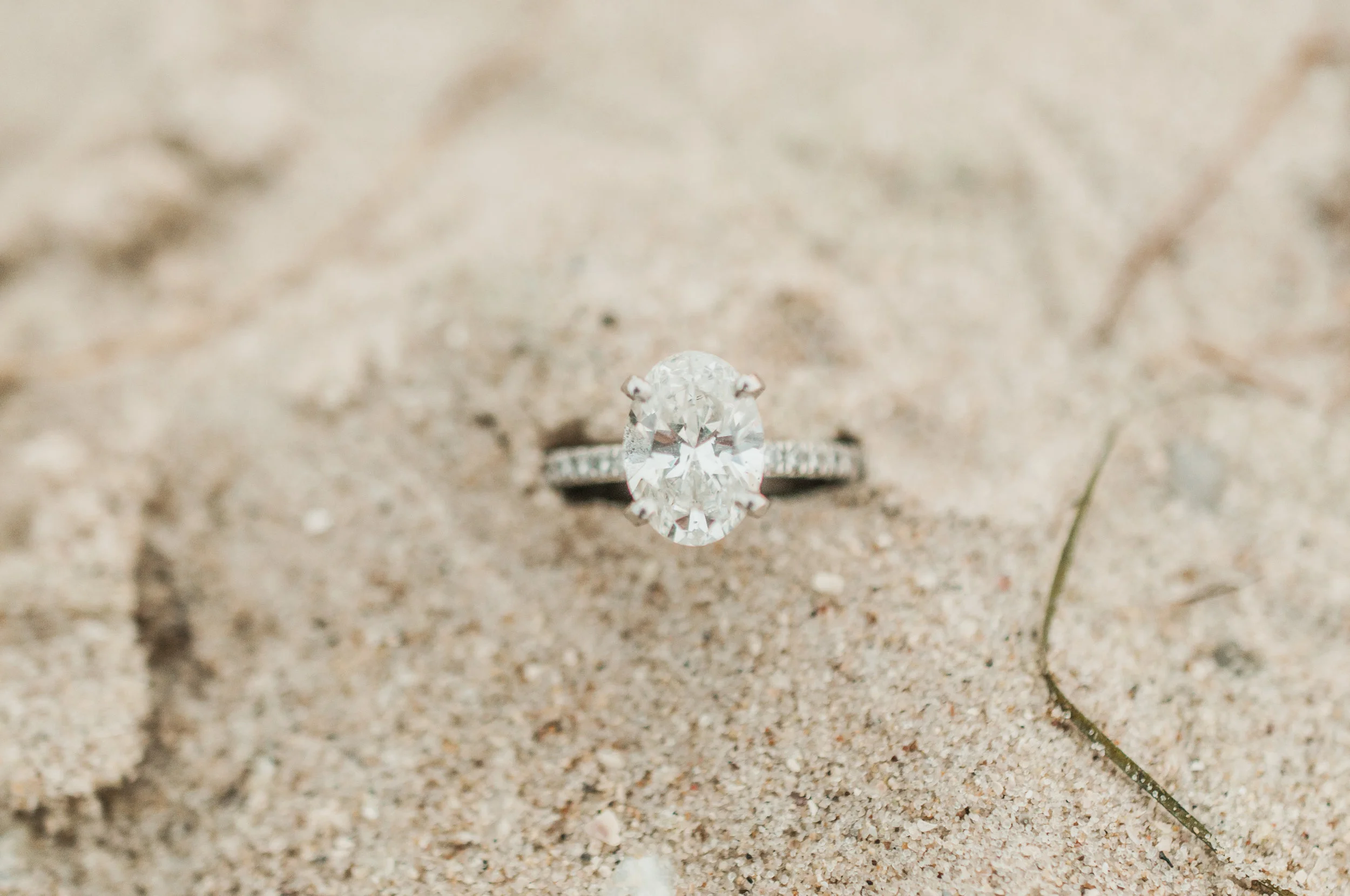 ct-engaged-449.jpg