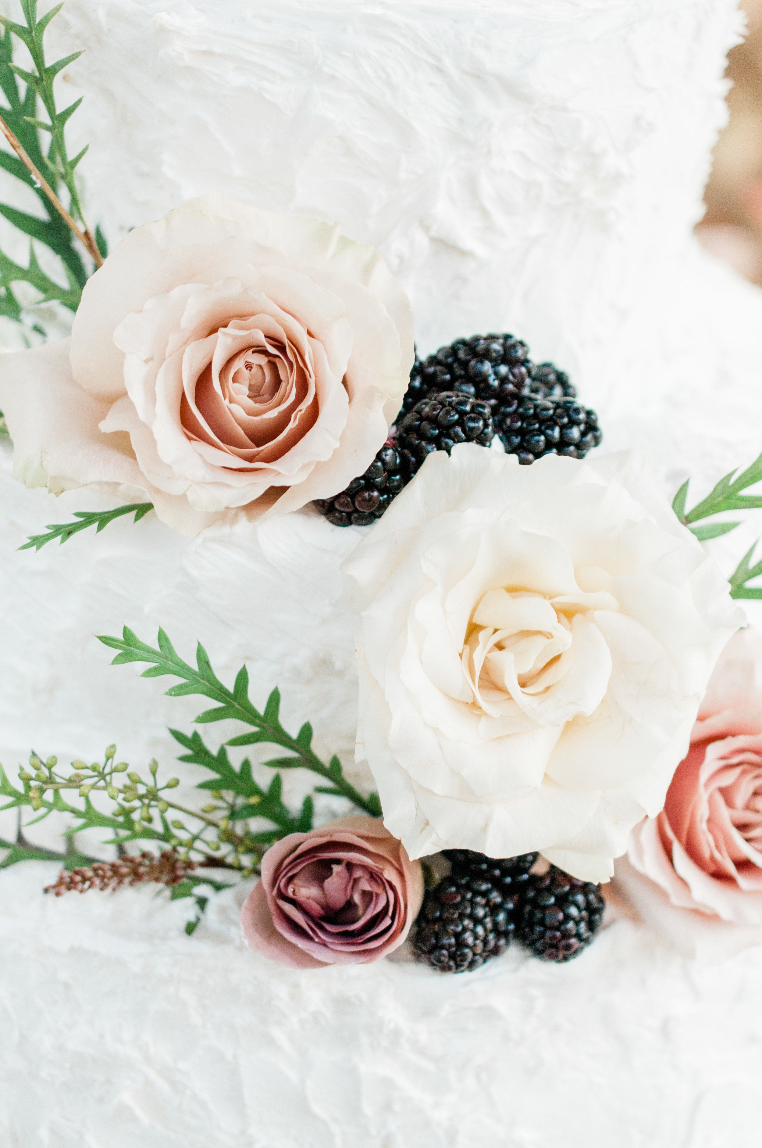 reception-28.jpg