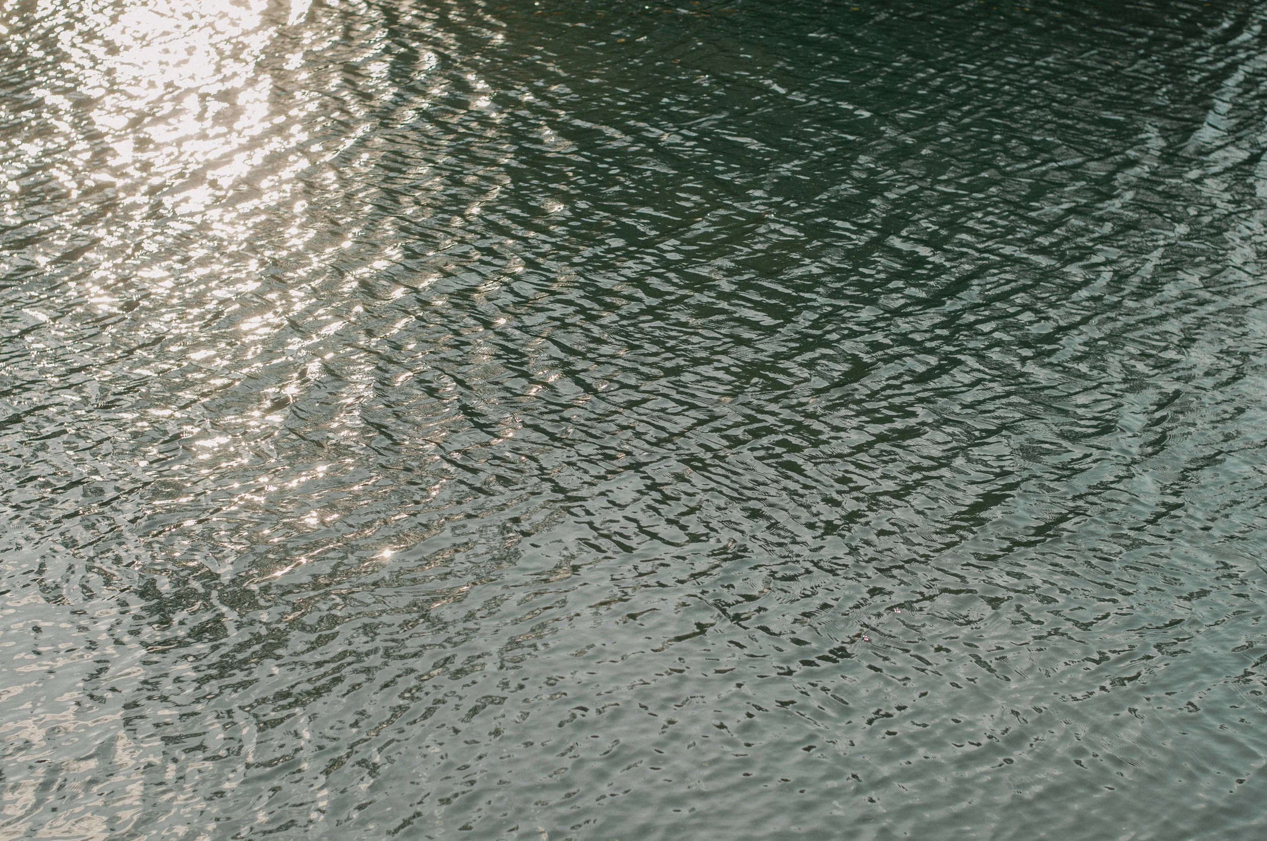 2019-website-235.jpg
