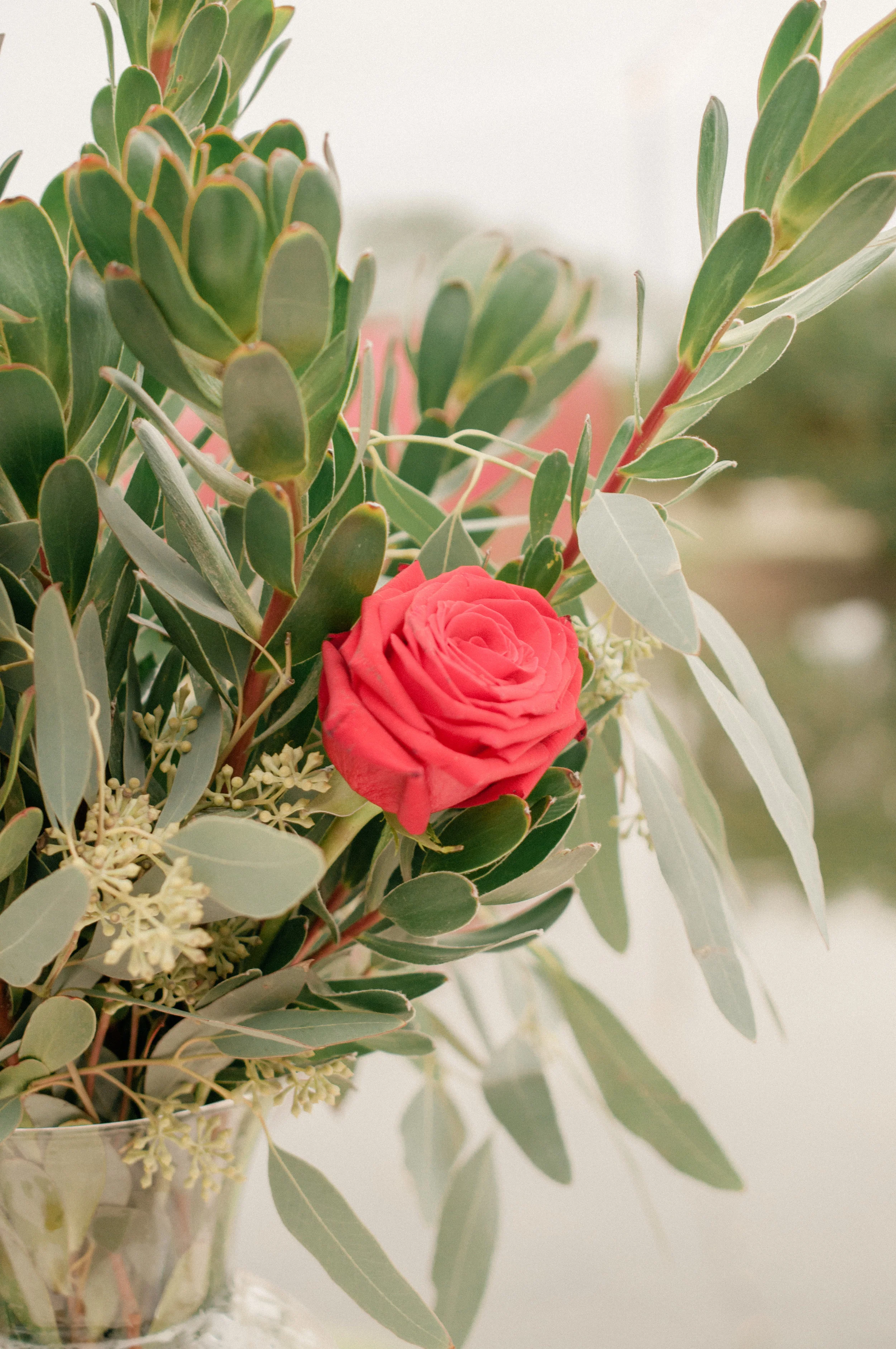 2019-website-102.jpg