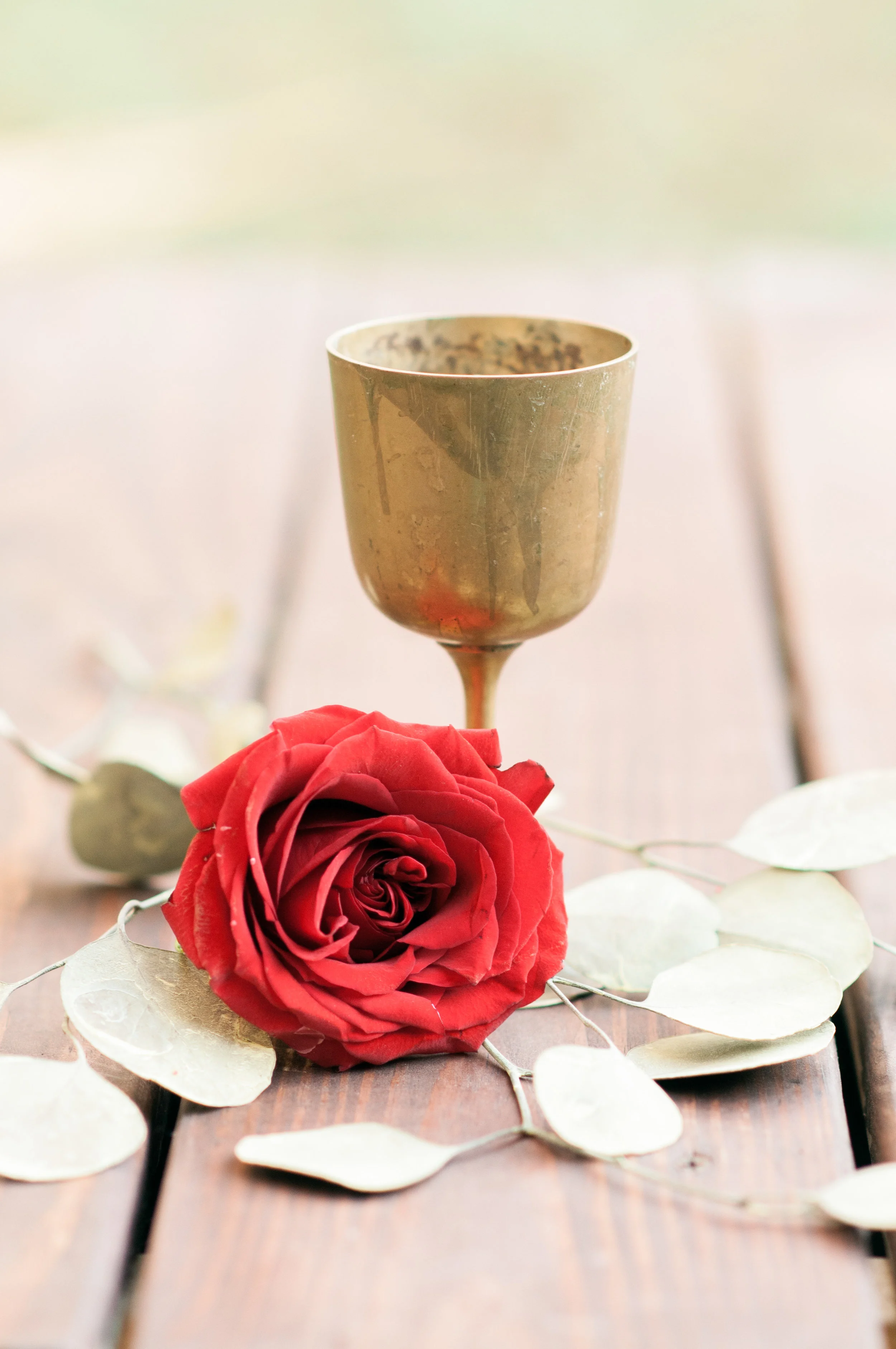 2019-website-109.jpg