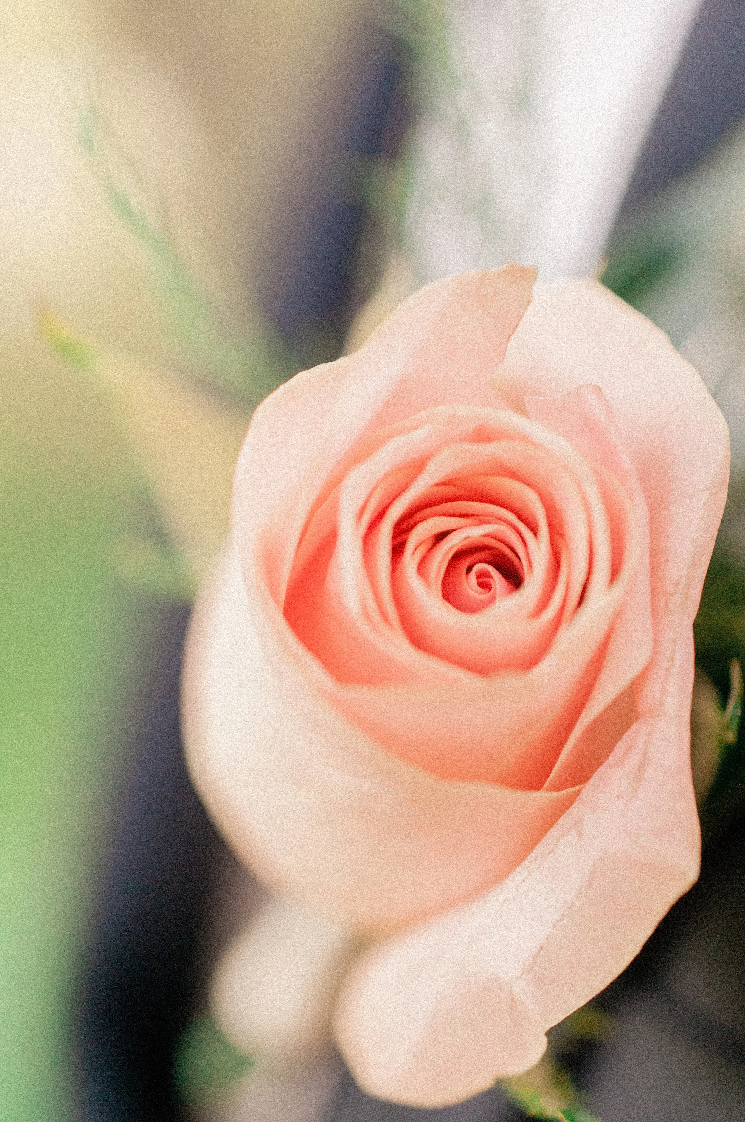 2019-website-121.jpg