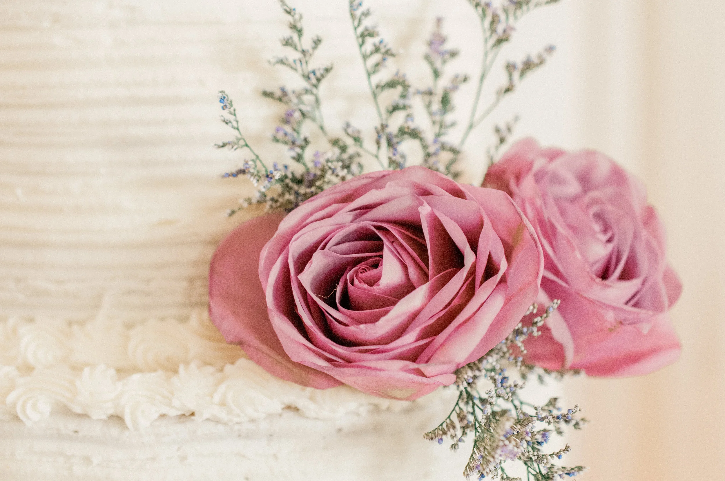 2019-website-141.jpg