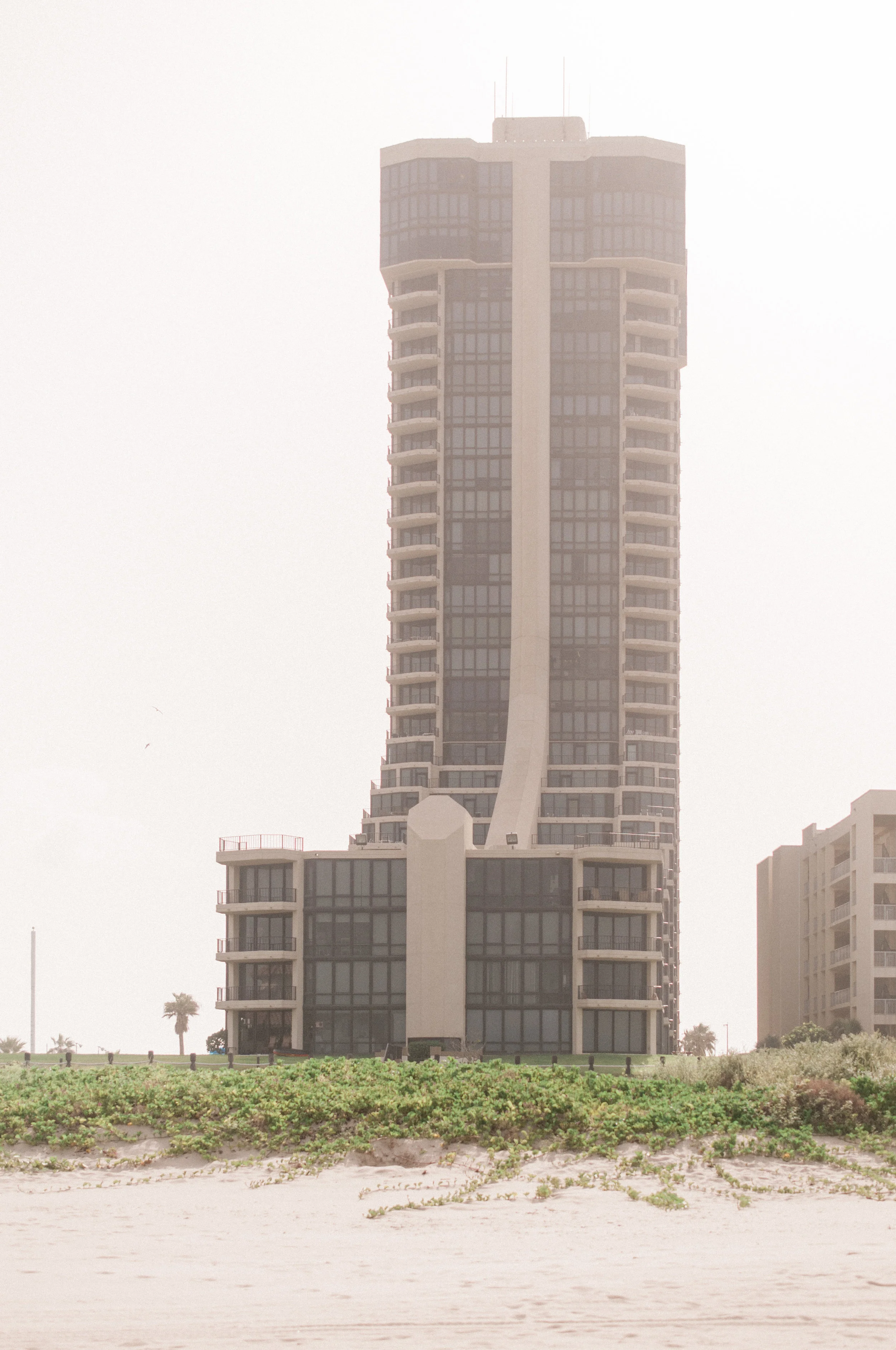 2019-website-216.jpg