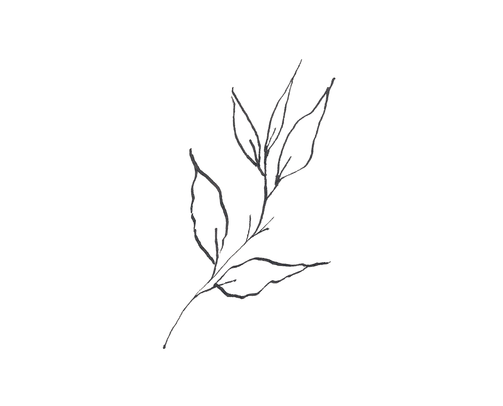 Curve Stem.jpg