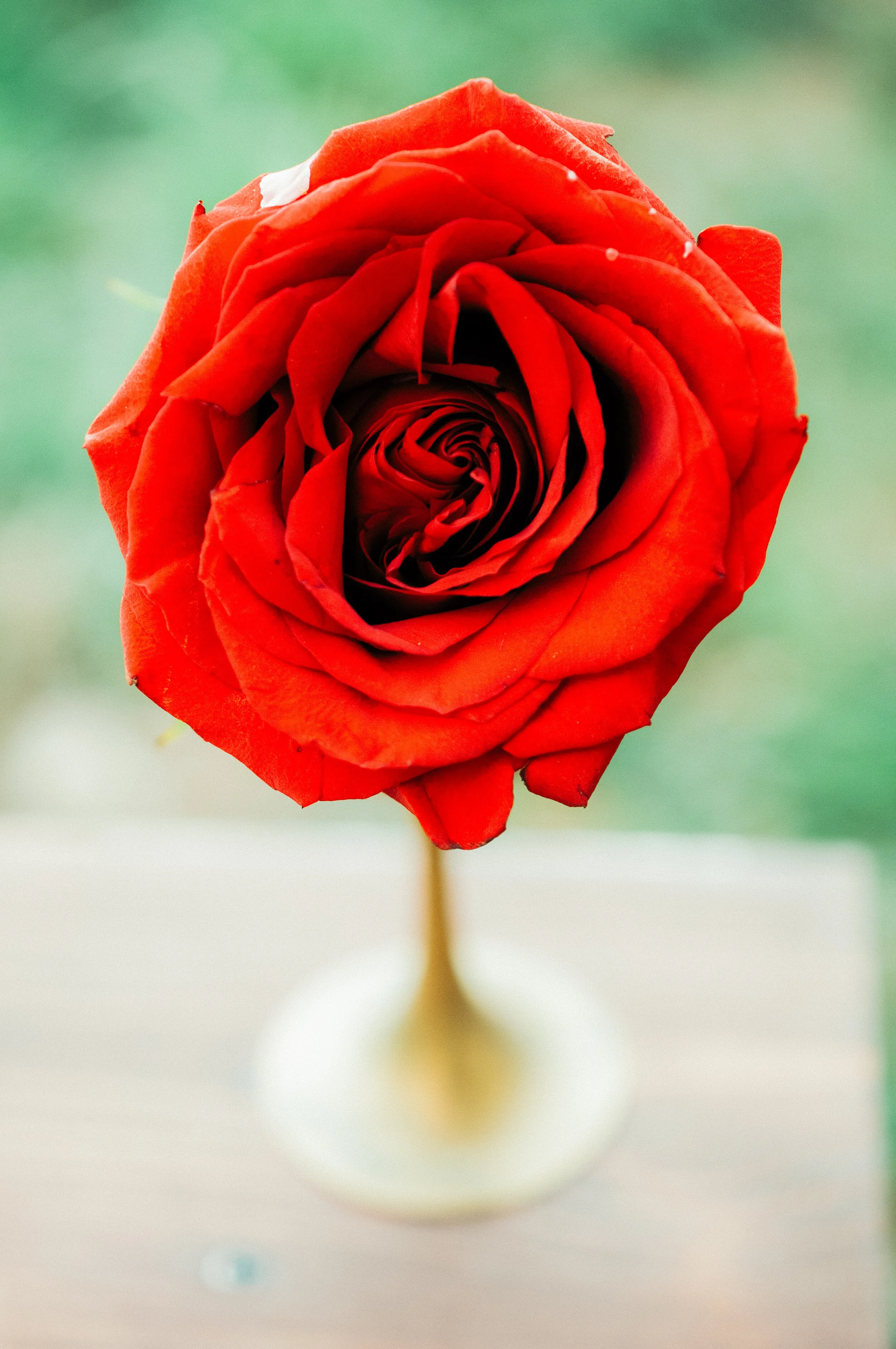 red-wedding-7.jpg