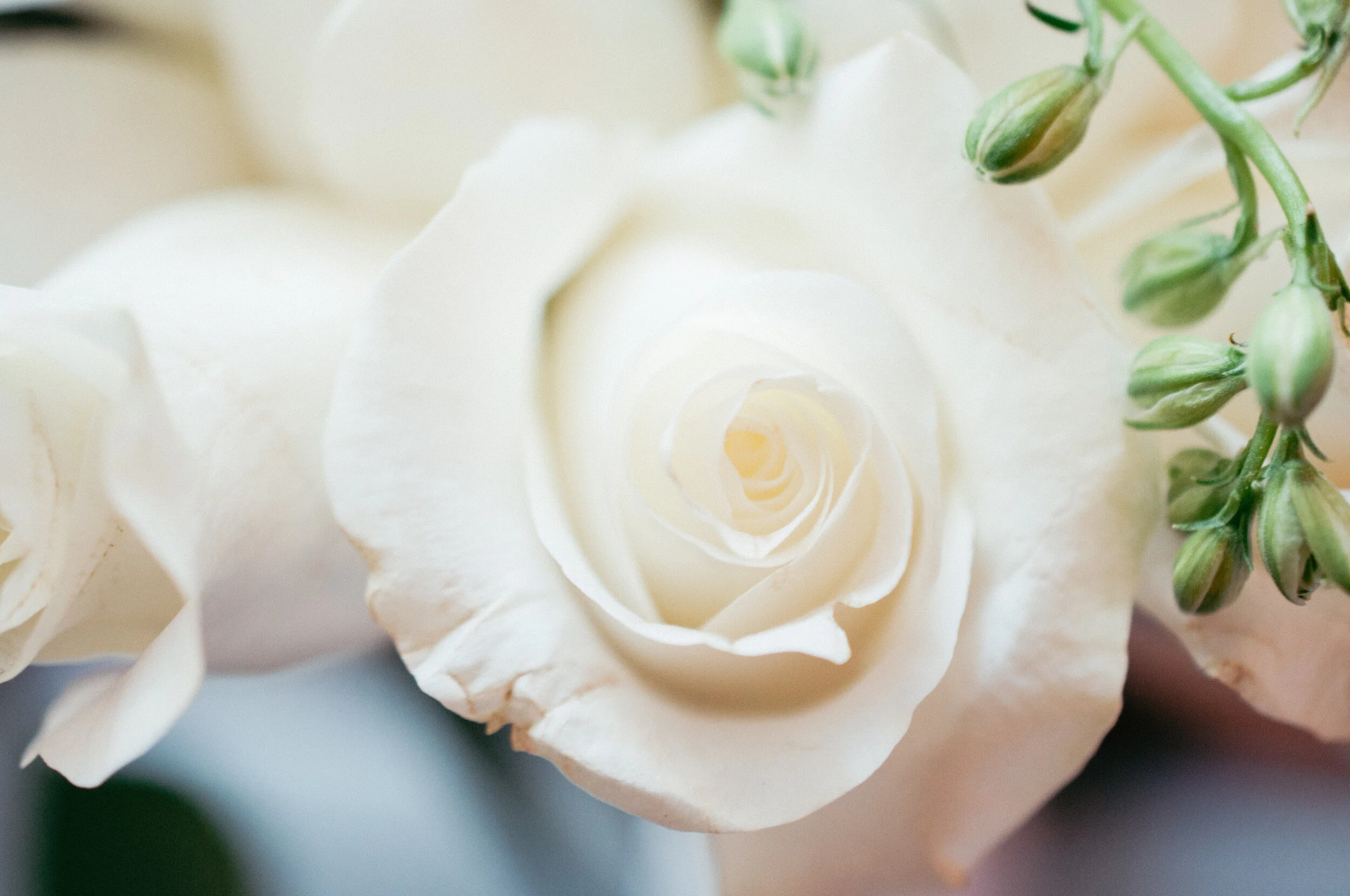 wedding-1-8.jpg