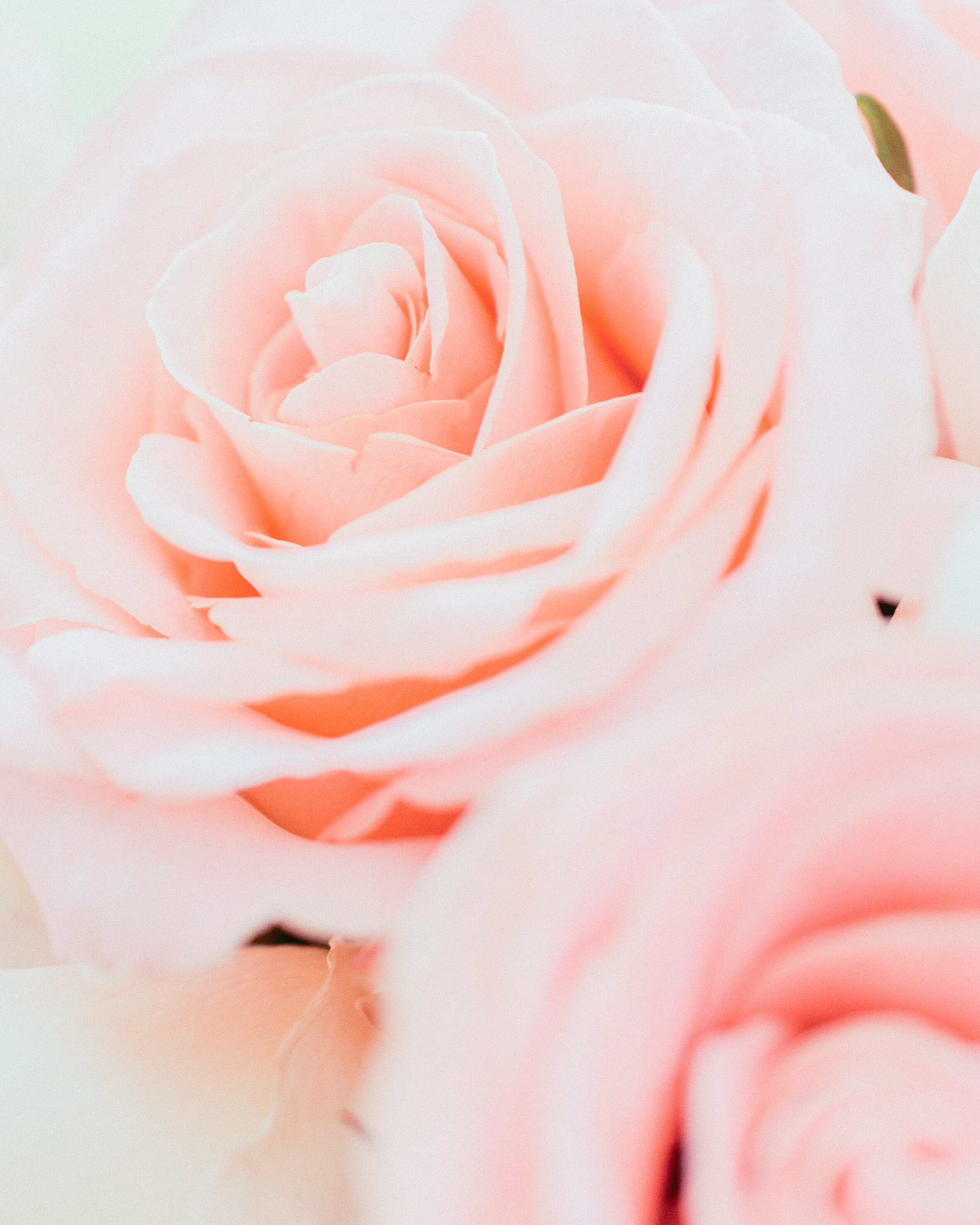 RECEPTION-6.jpg