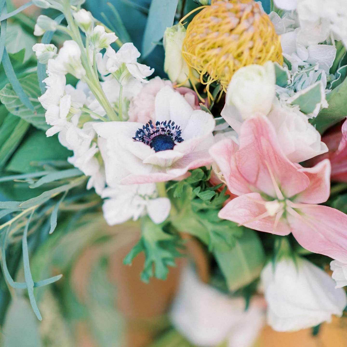 I had a migraine all day today, but nonetheless we had a picnic at a state park this afternoon and spent the day outdoors. It was lovely, like these florals from @wildcactusflowershop in Kilgore, Texas. How was your day and/or what have you on the ag