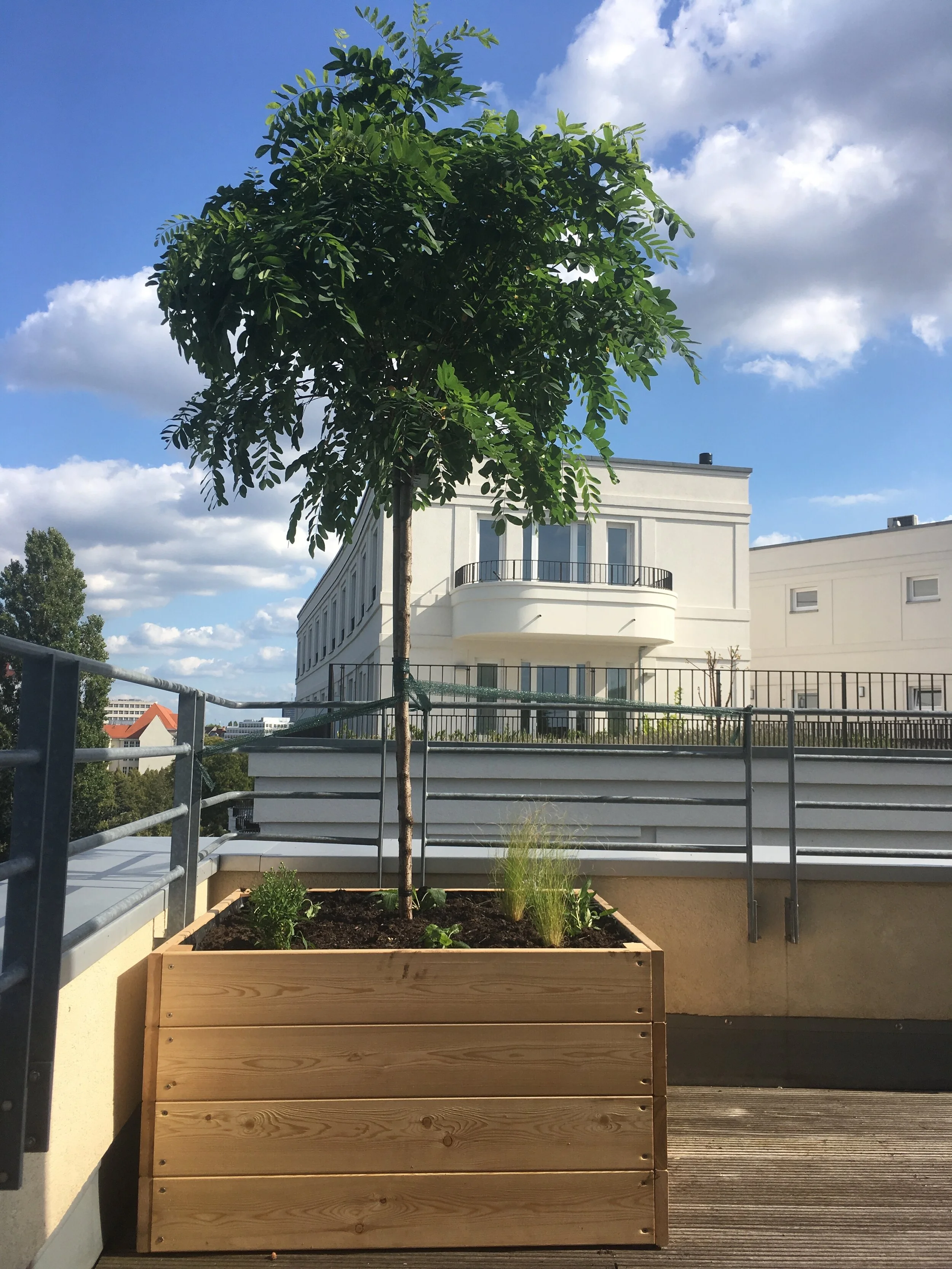 Pflanzgefasse Aus Holz Nelka Dachterrasse Balkon Innenhof Planung Und Ausfuhrung