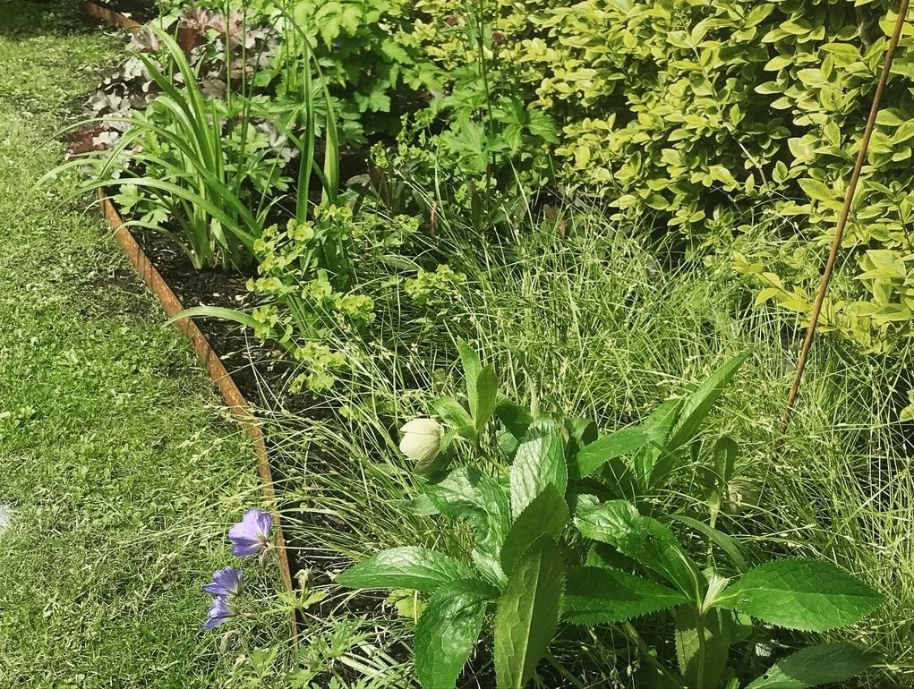 Kleiner Garten