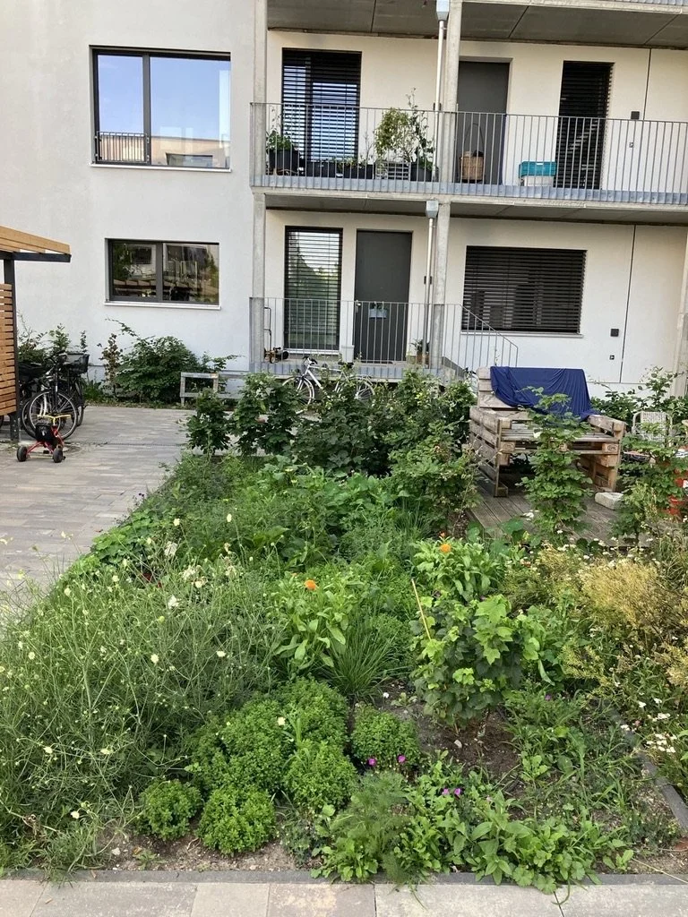 Staudenbeet