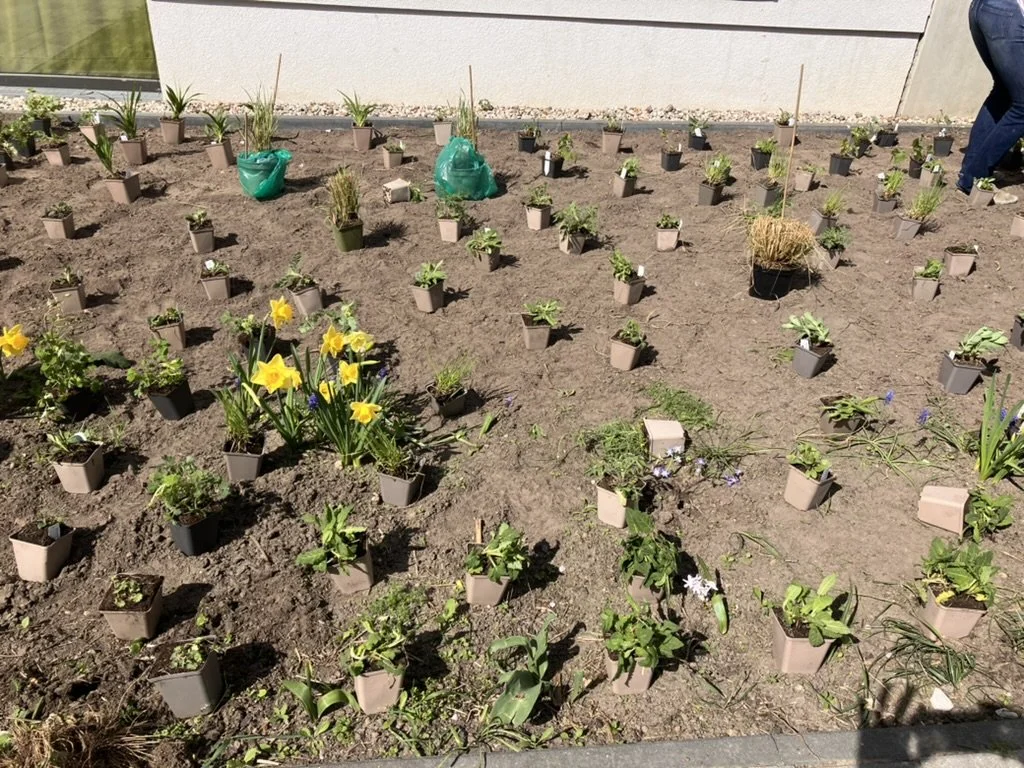 Staudenbeet