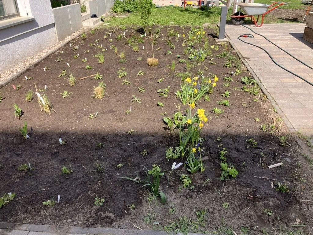 Staudenbeet