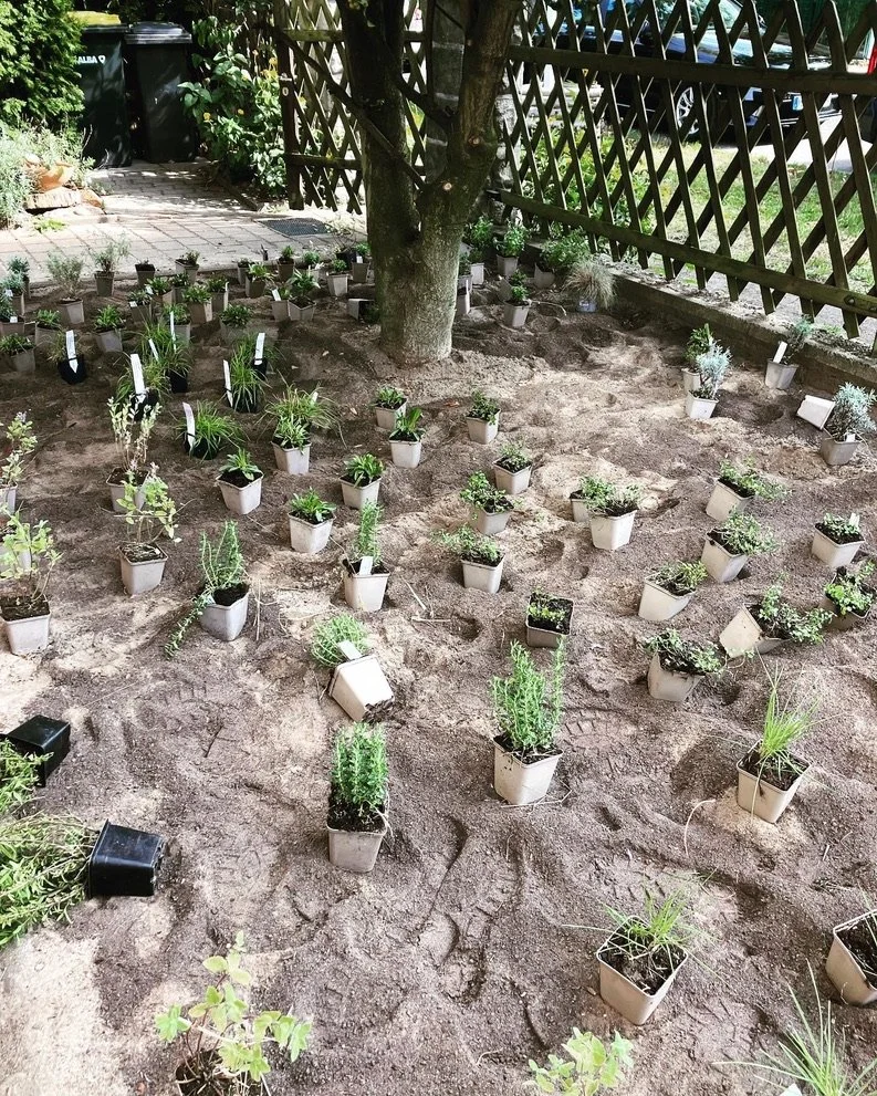 Vorgarten