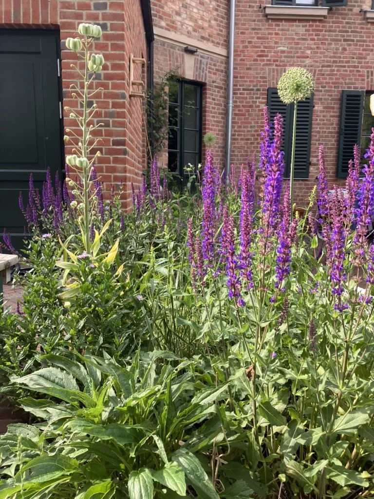 Garten einer Villa