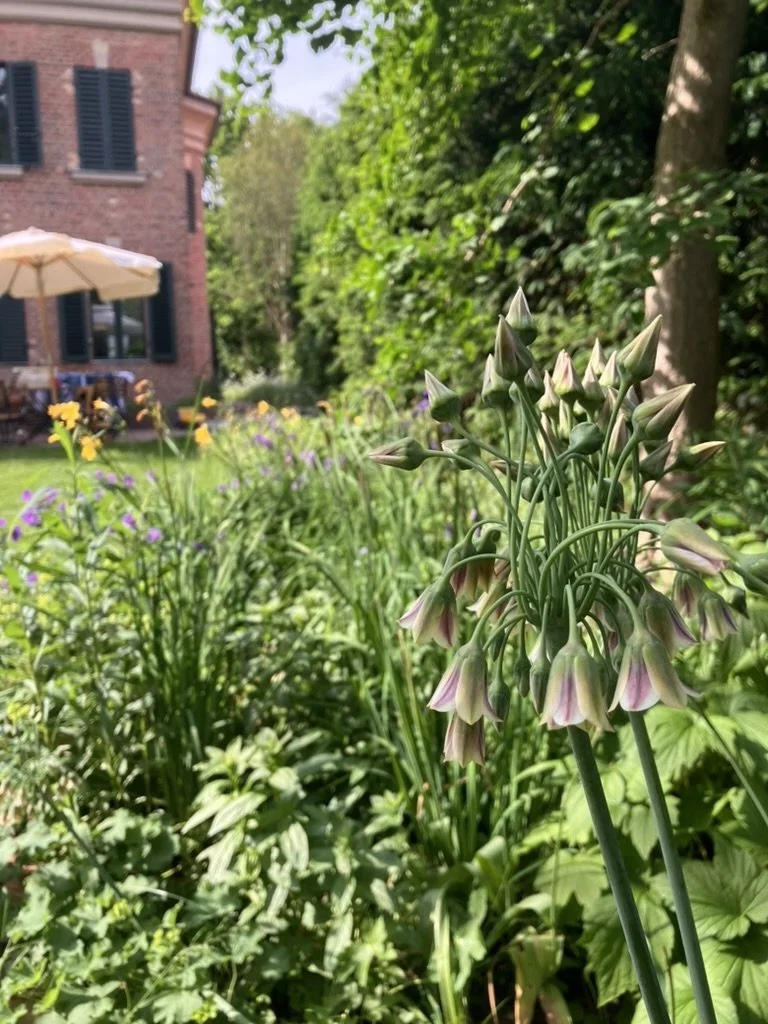 Garten einer Villa