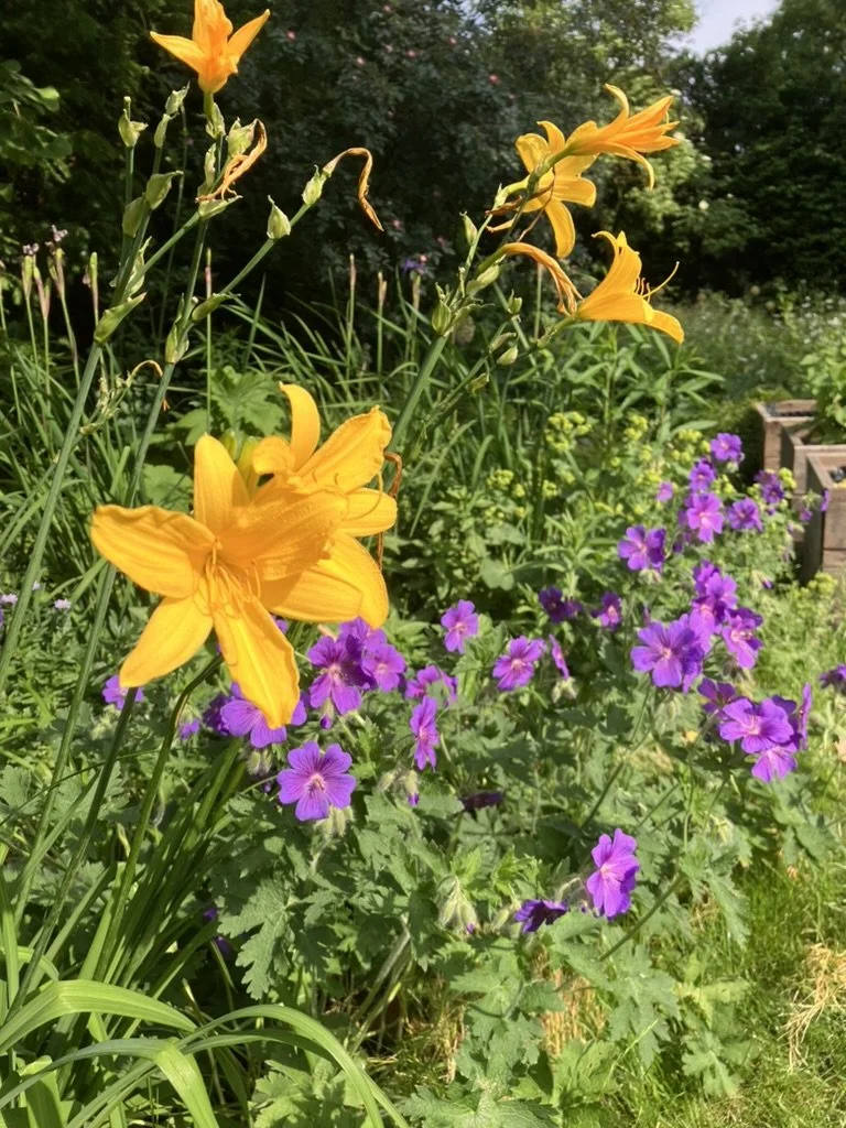Randbepflanzung großer Garten