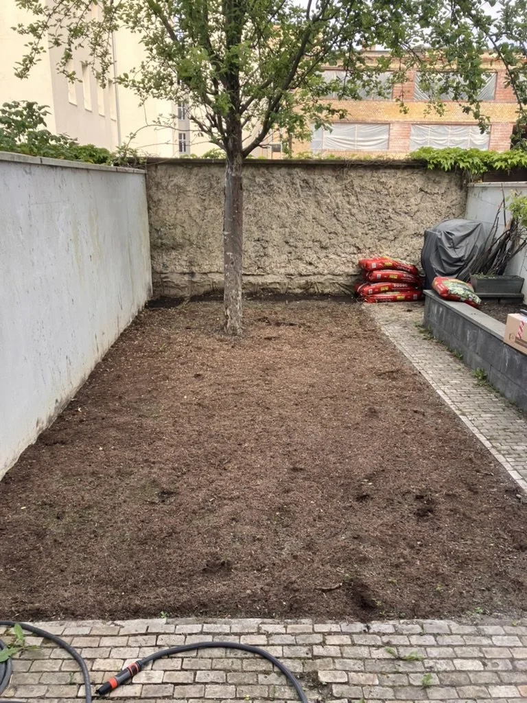BCABA8A0-E8FB-43CA-91E6-85E9531B3209_1_105_c.jpeg