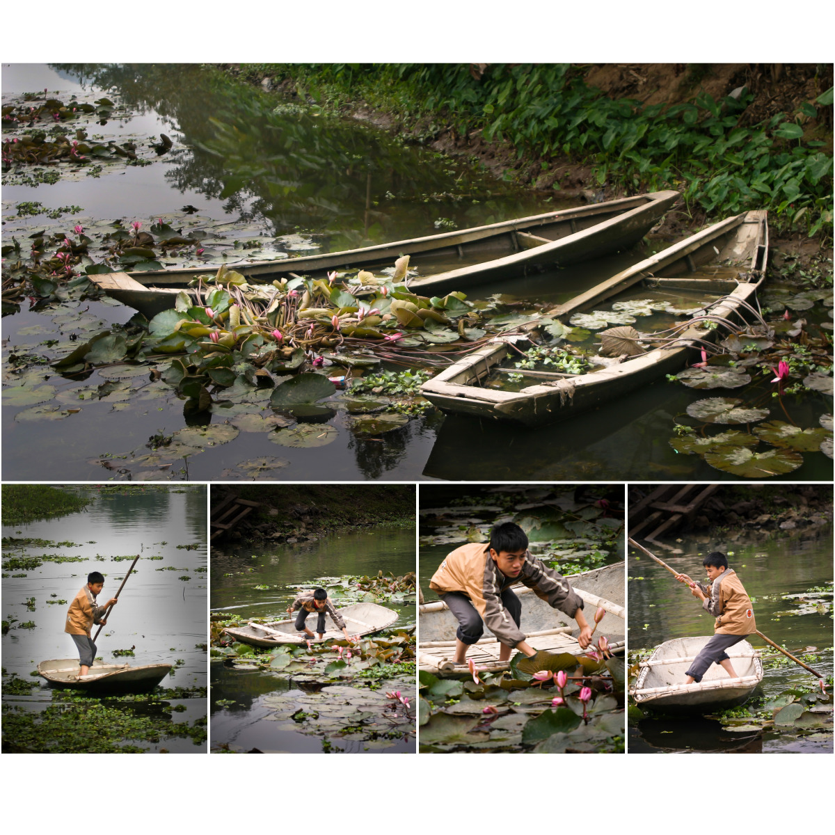 going_home_picking_water_lilies.jpg