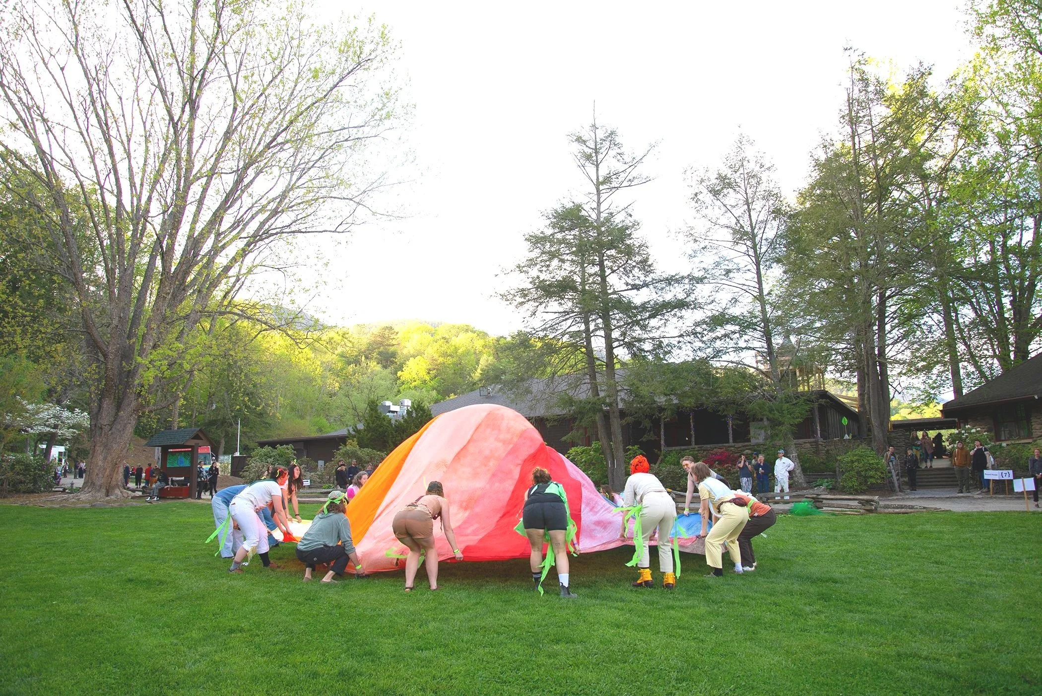 DSC_7704.jpg