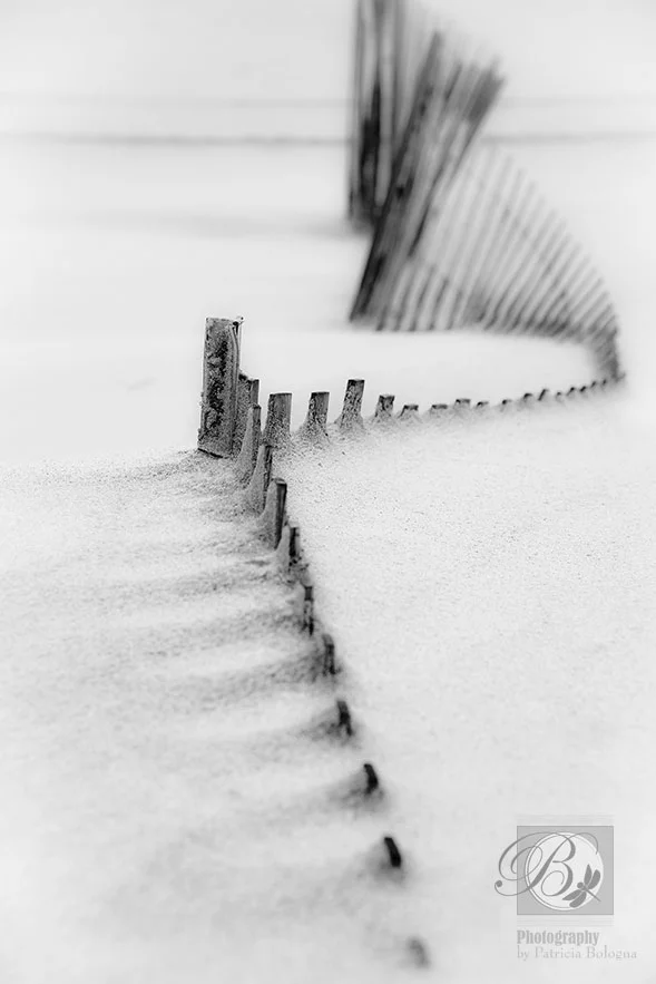 Boney Fence at Jones Beach