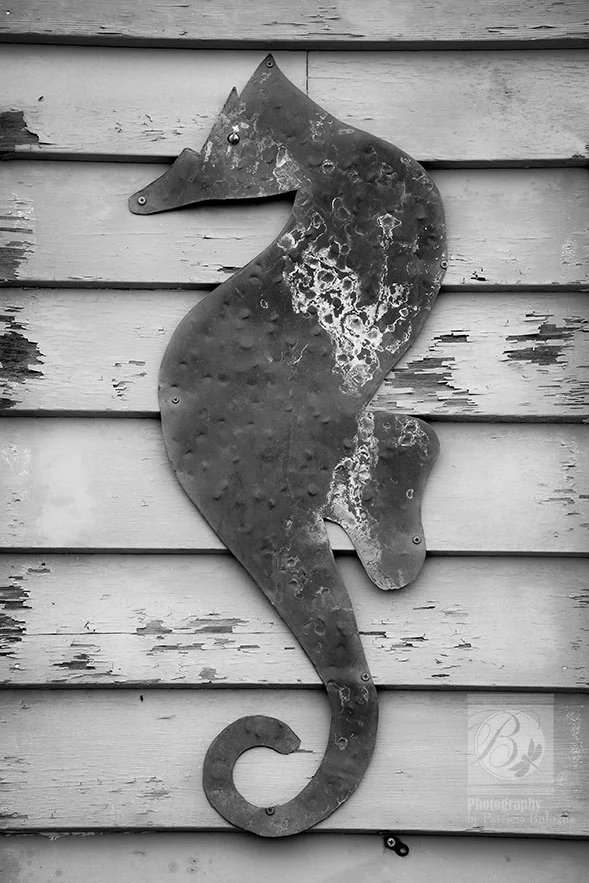 Metal seahorse sign on Jones Beach building