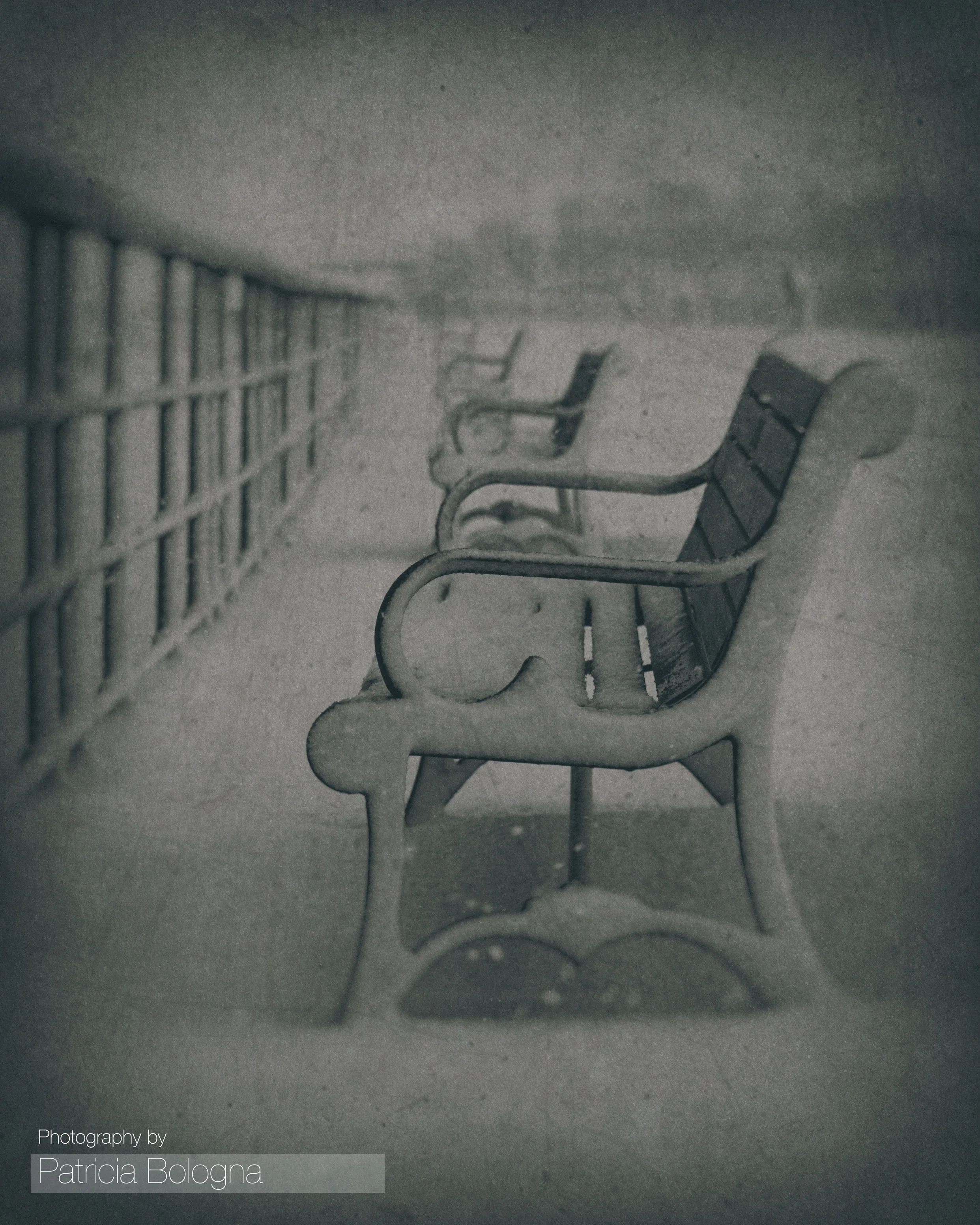 Snowy Jones Beach Benches