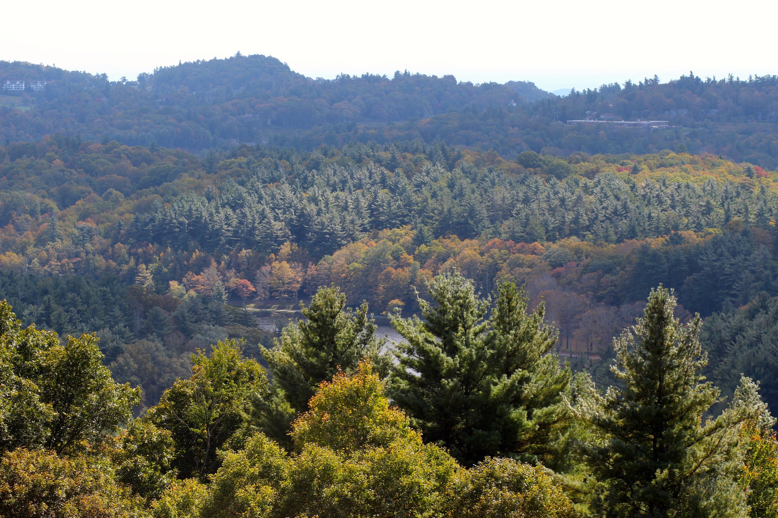 Moses Cone, NC | October 2016
