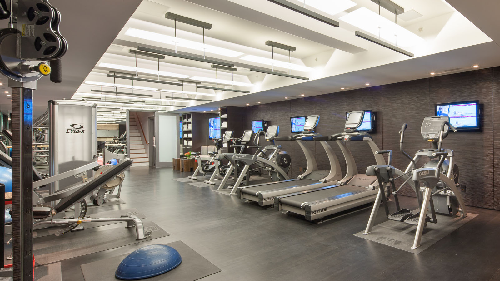 Gym 1.jpg