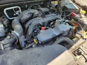 00b0b_bd853Qt5KXa_0CI0t2_300x300.jpg