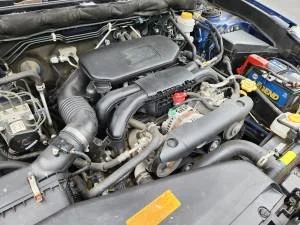 00w0w_53wlzn8f6IC_0CI0t2_300x300.jpg