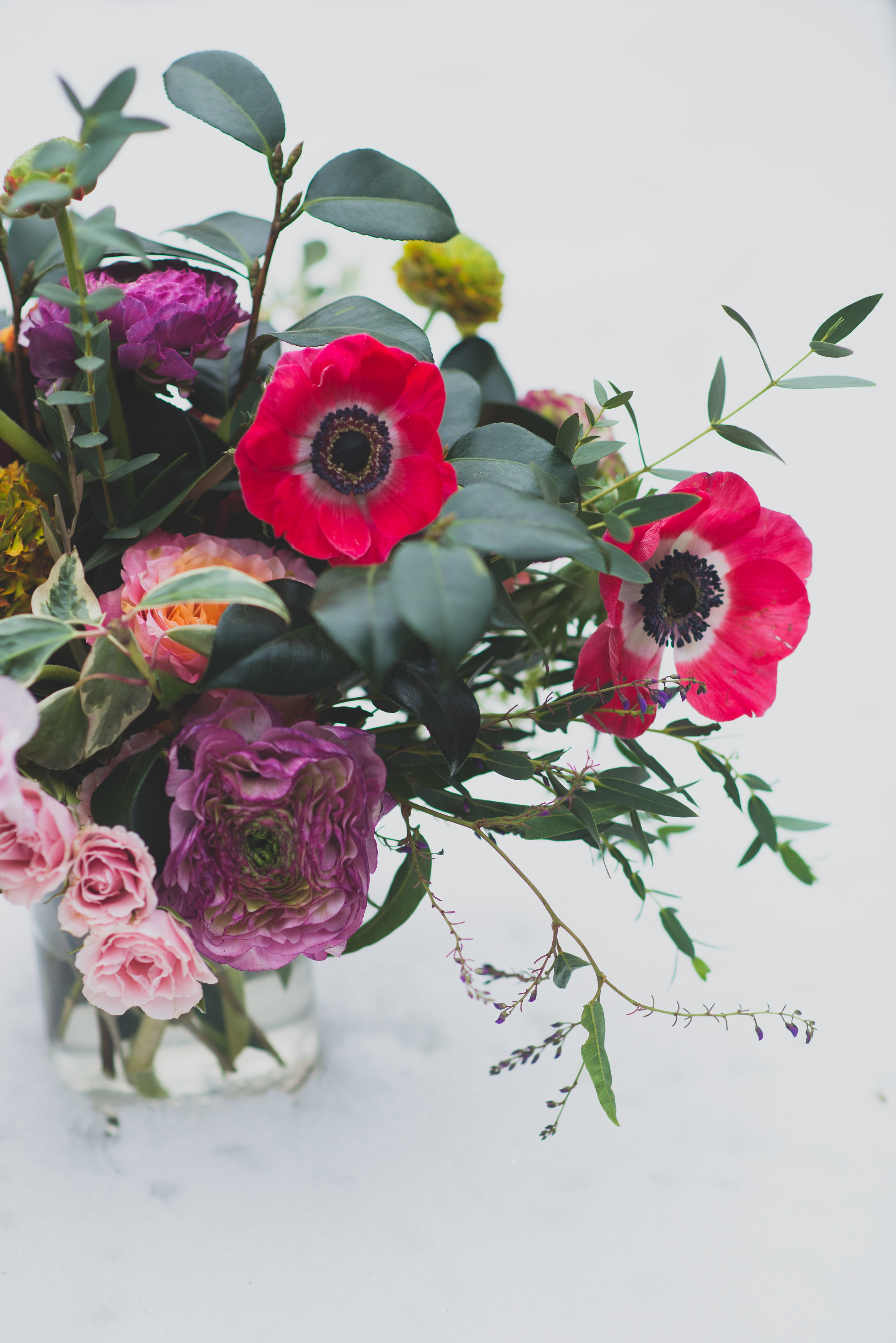 Coral pink anemones. Nothing better.