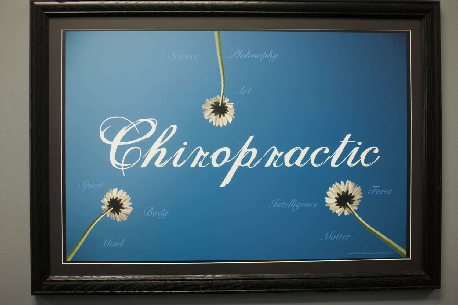 About 3 — Chiropractic Concepts