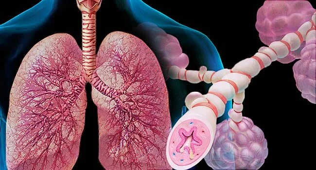 Asthma and the Upper Cervical Spine