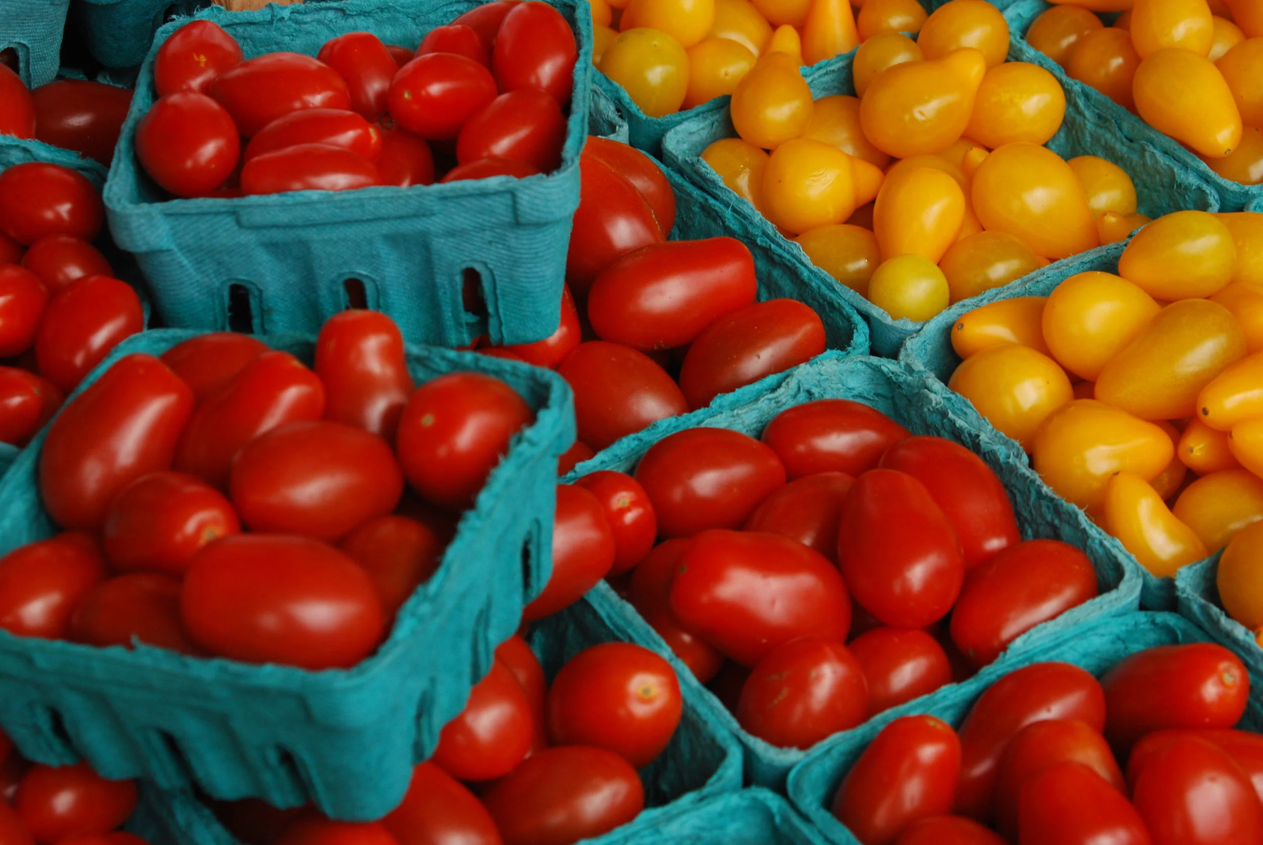   ©  Ellen Arnold 2013    