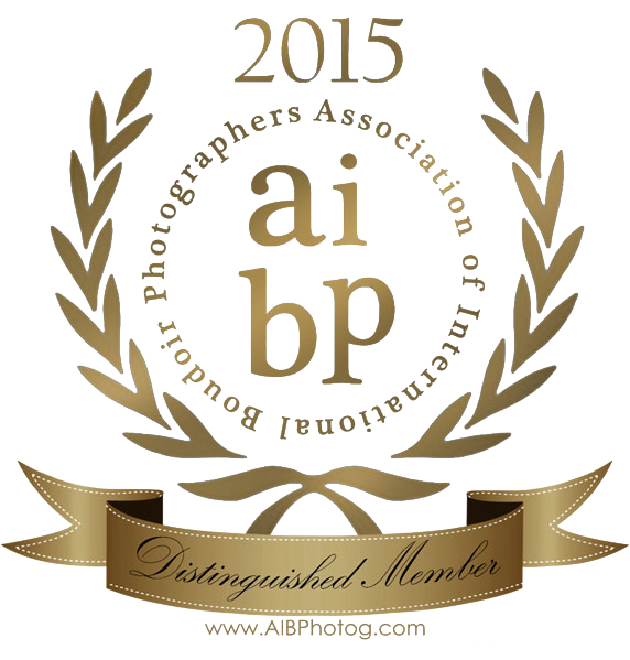 AIBP Distingquished Member Seal 2015 copy copy.png