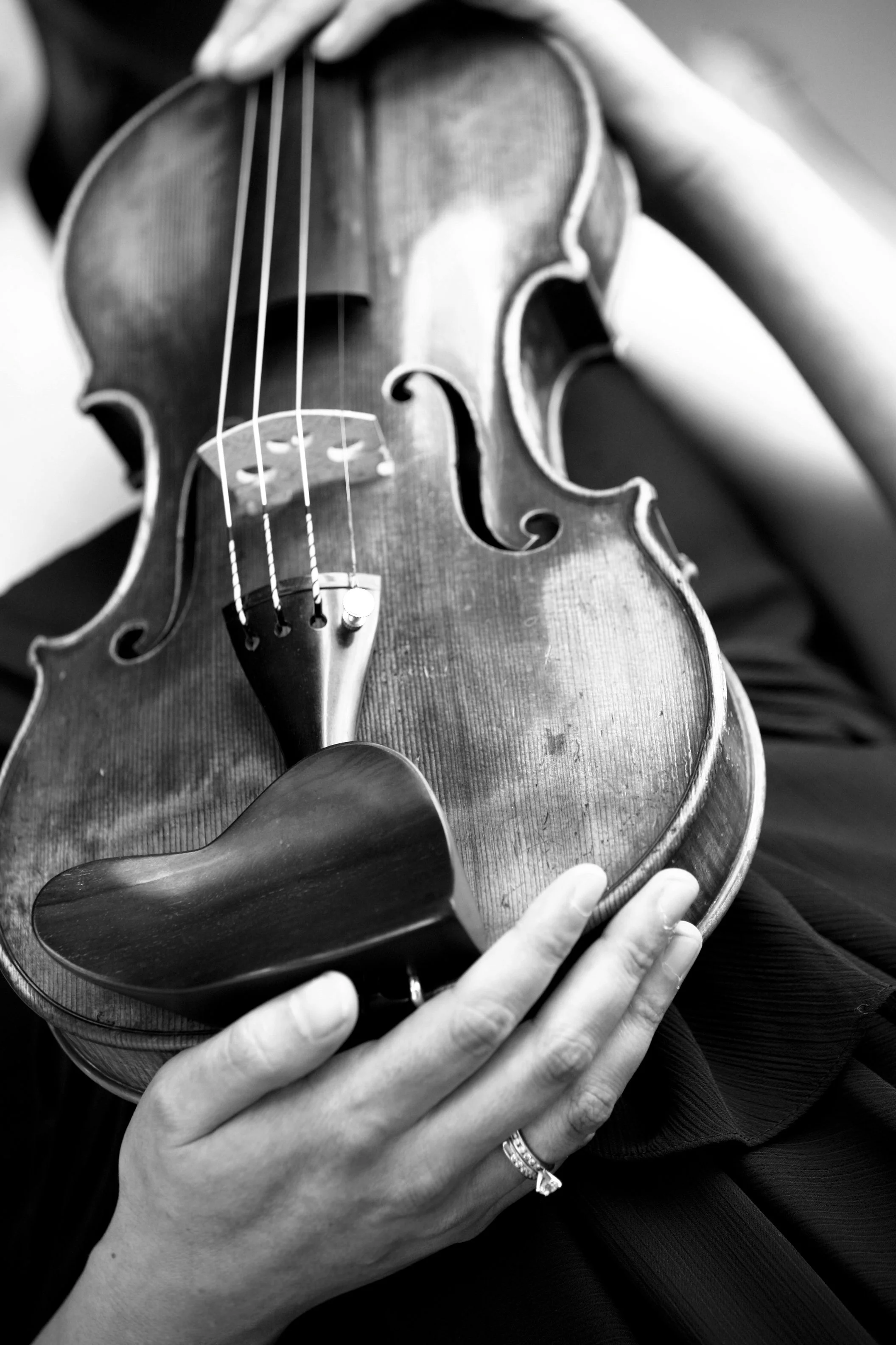 RF Violin from Below.jpg